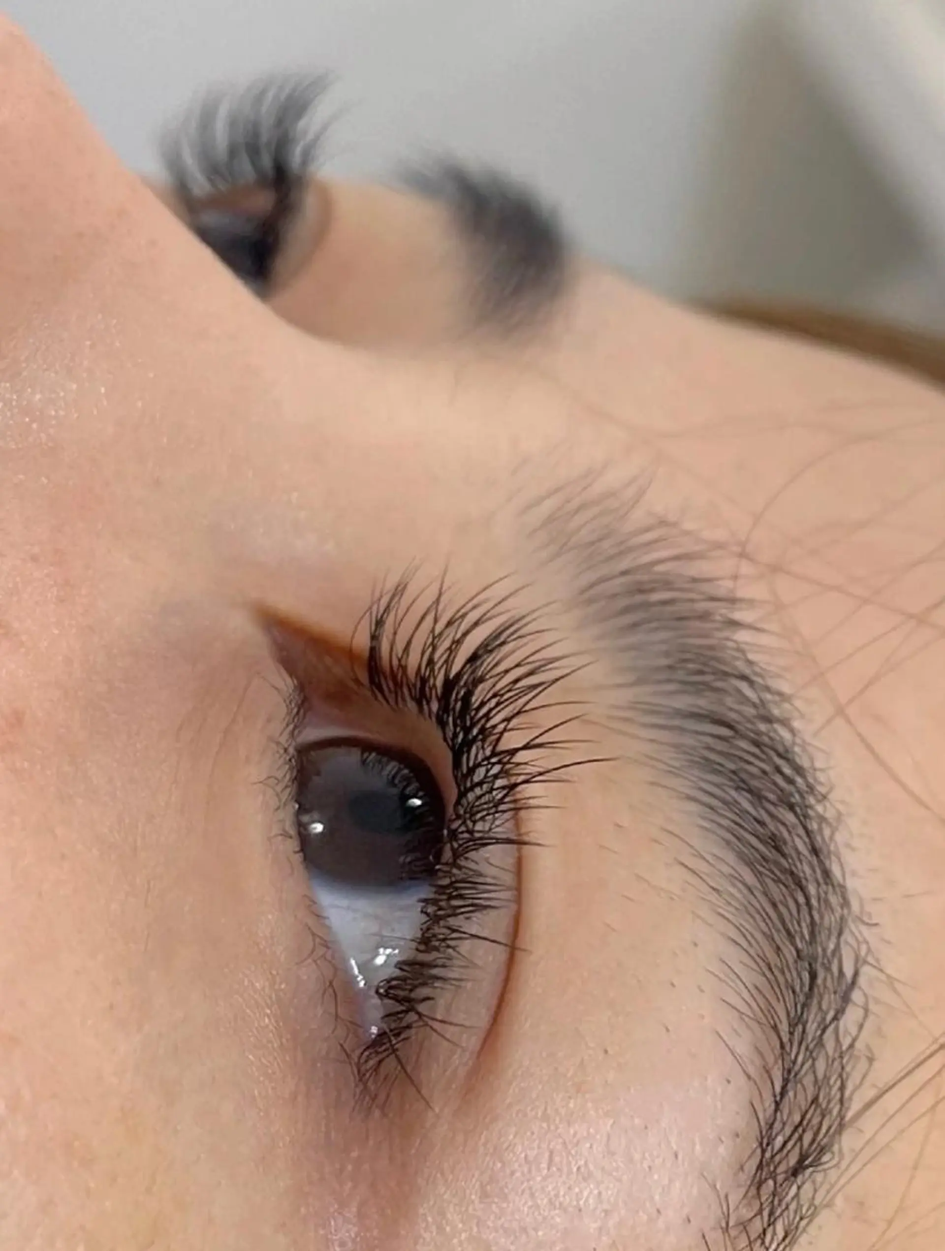 マツエク・マツパ セーブル マツエク 林 萌えのマツエク・マツパデザイン