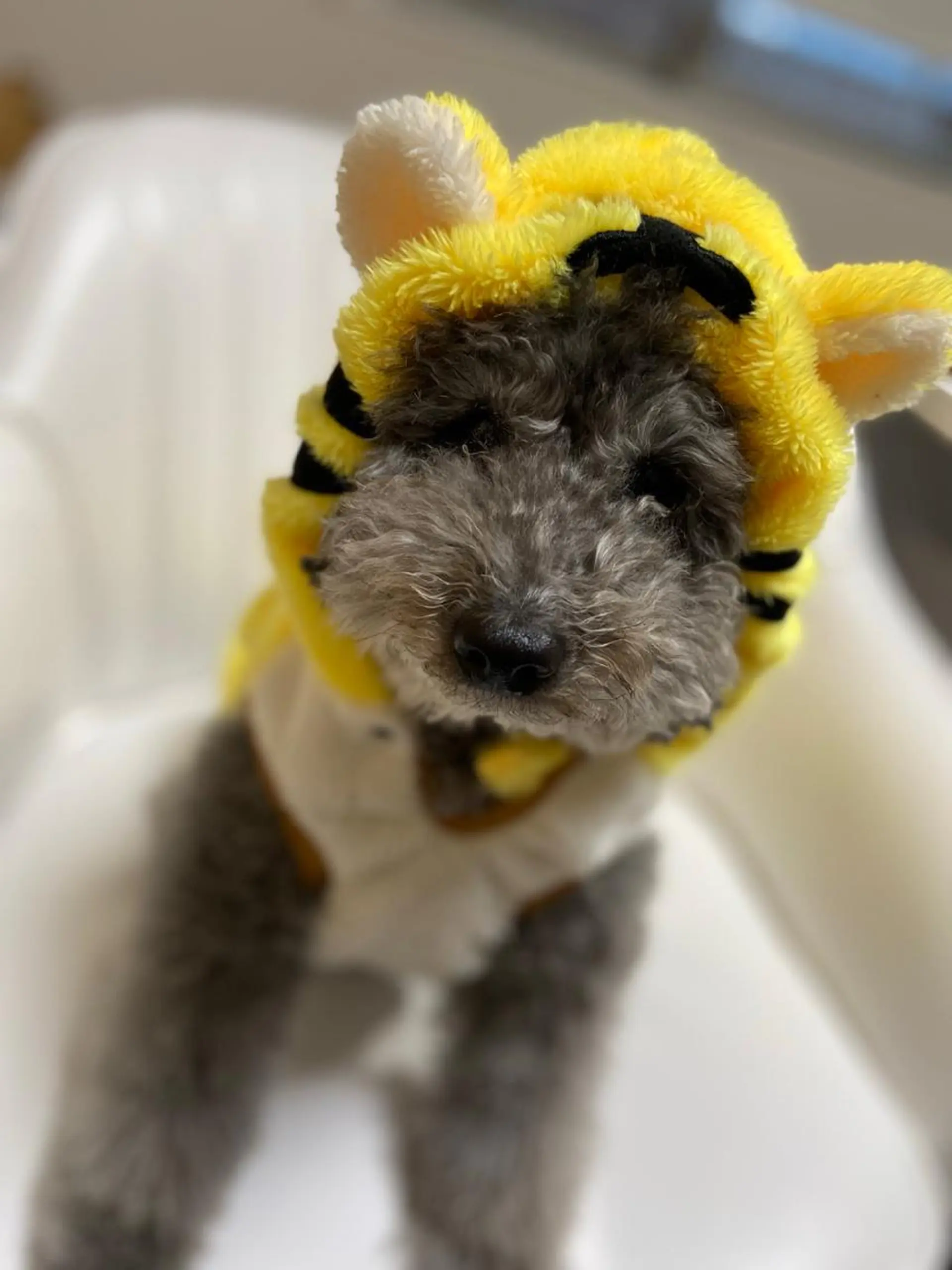 nail salon LNのネイルデザイン