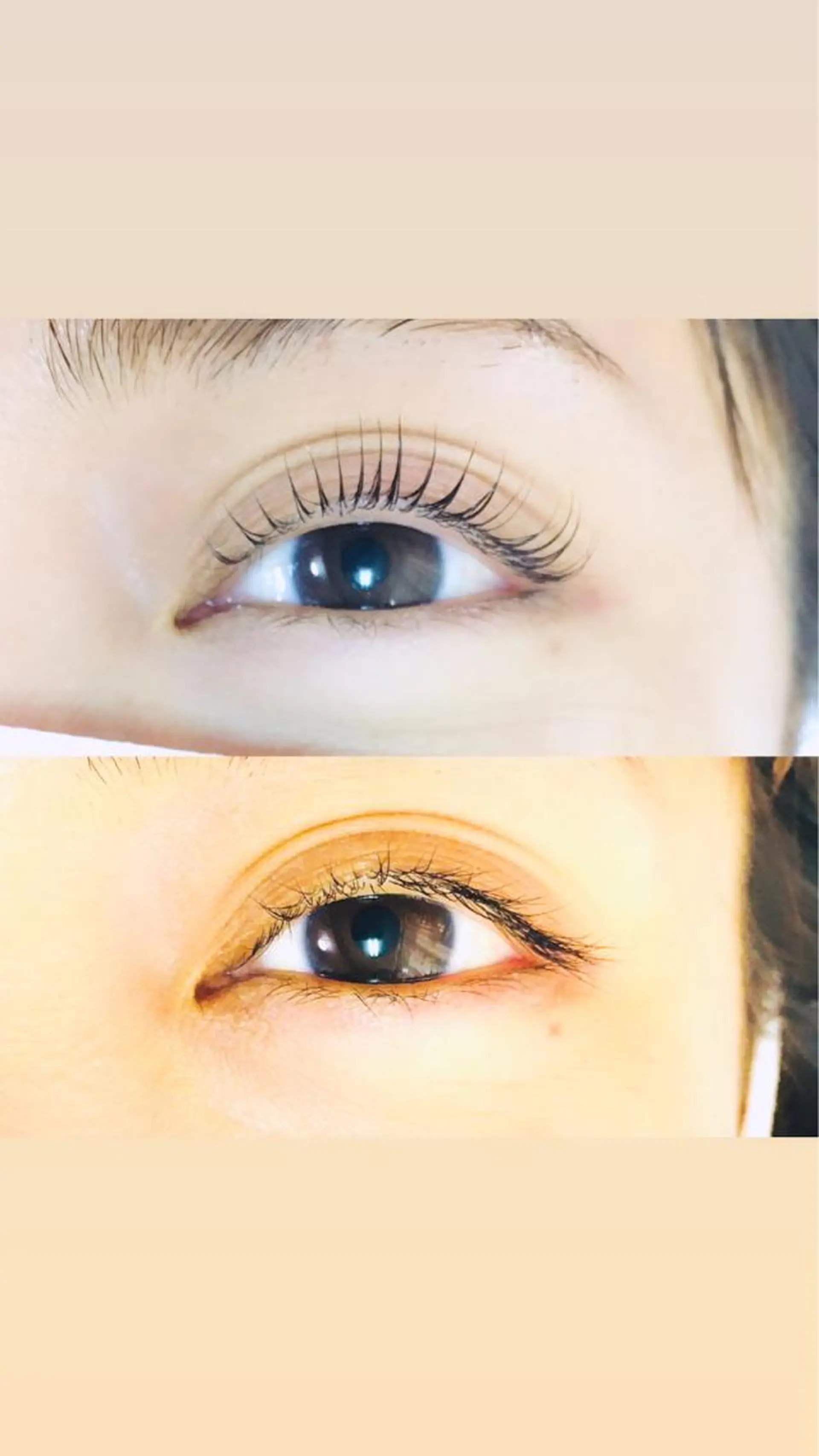 マツエク・マツパ マツパ Lotus. makoのエステ・リラクイメージ