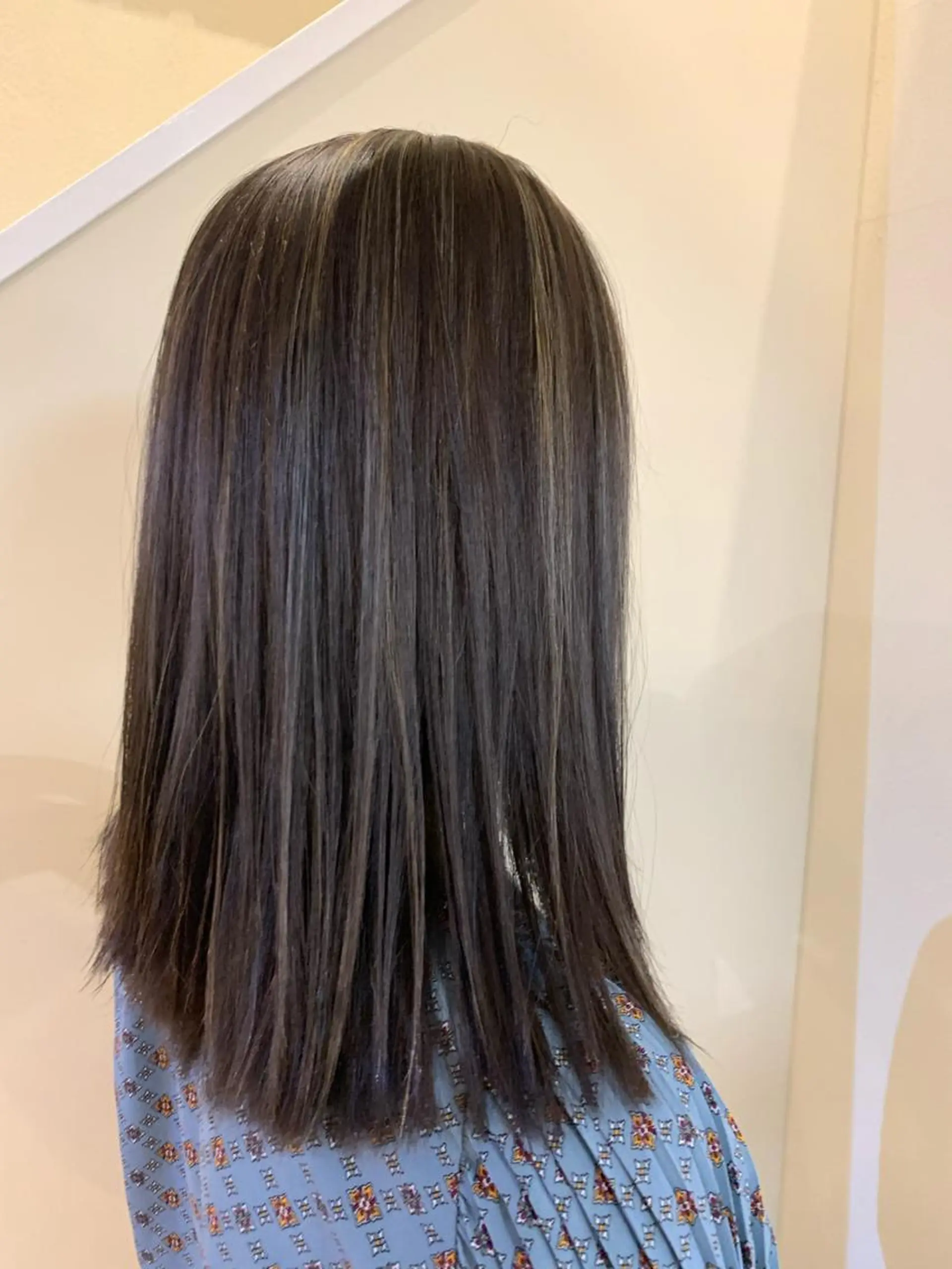 セミロング ハイライト 小杉輝/ショート /艶カラー✨のヘアスタイル