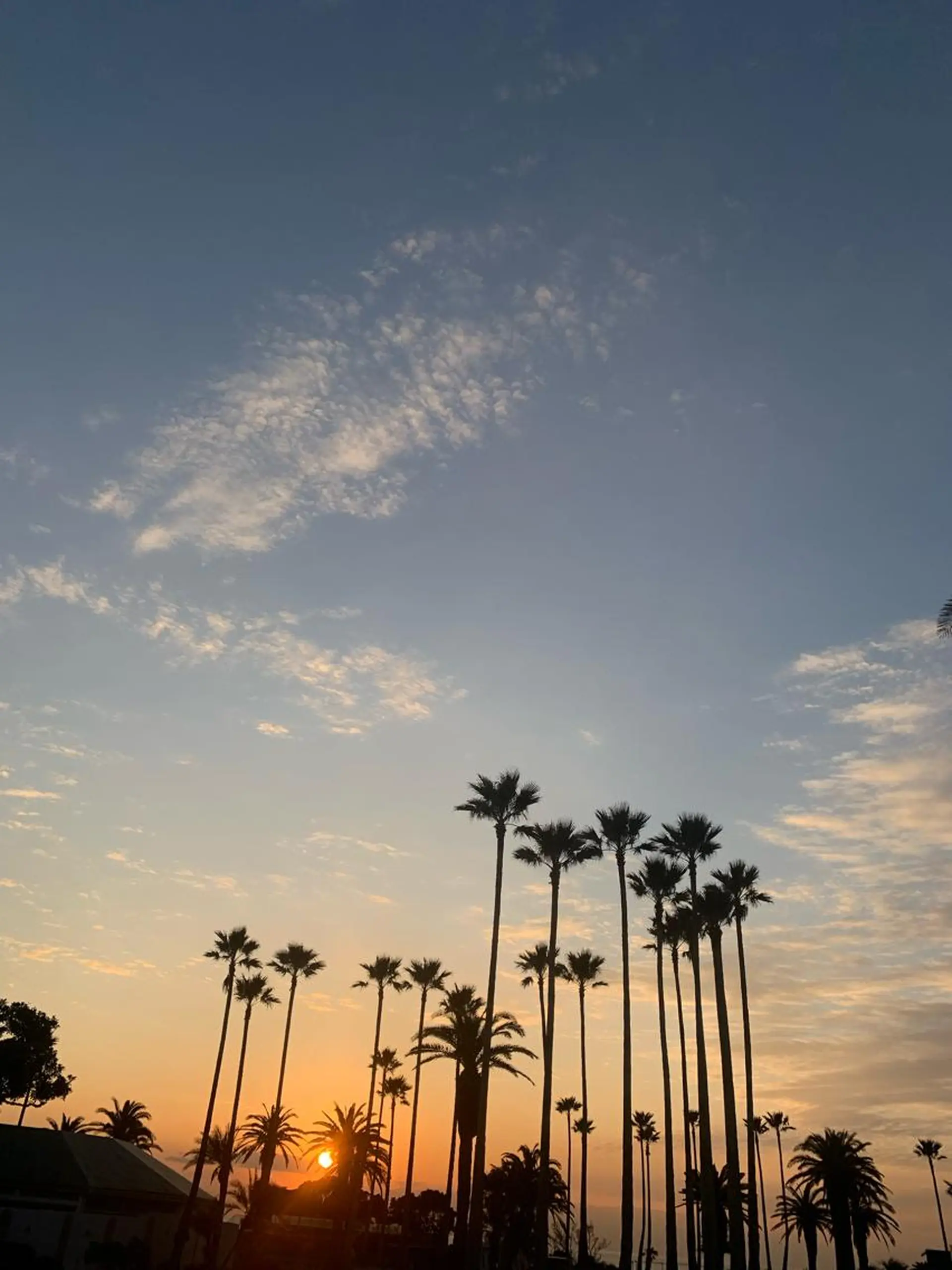 𝘮 𝘢 𝘰 .のマツエク・マツパデザイン