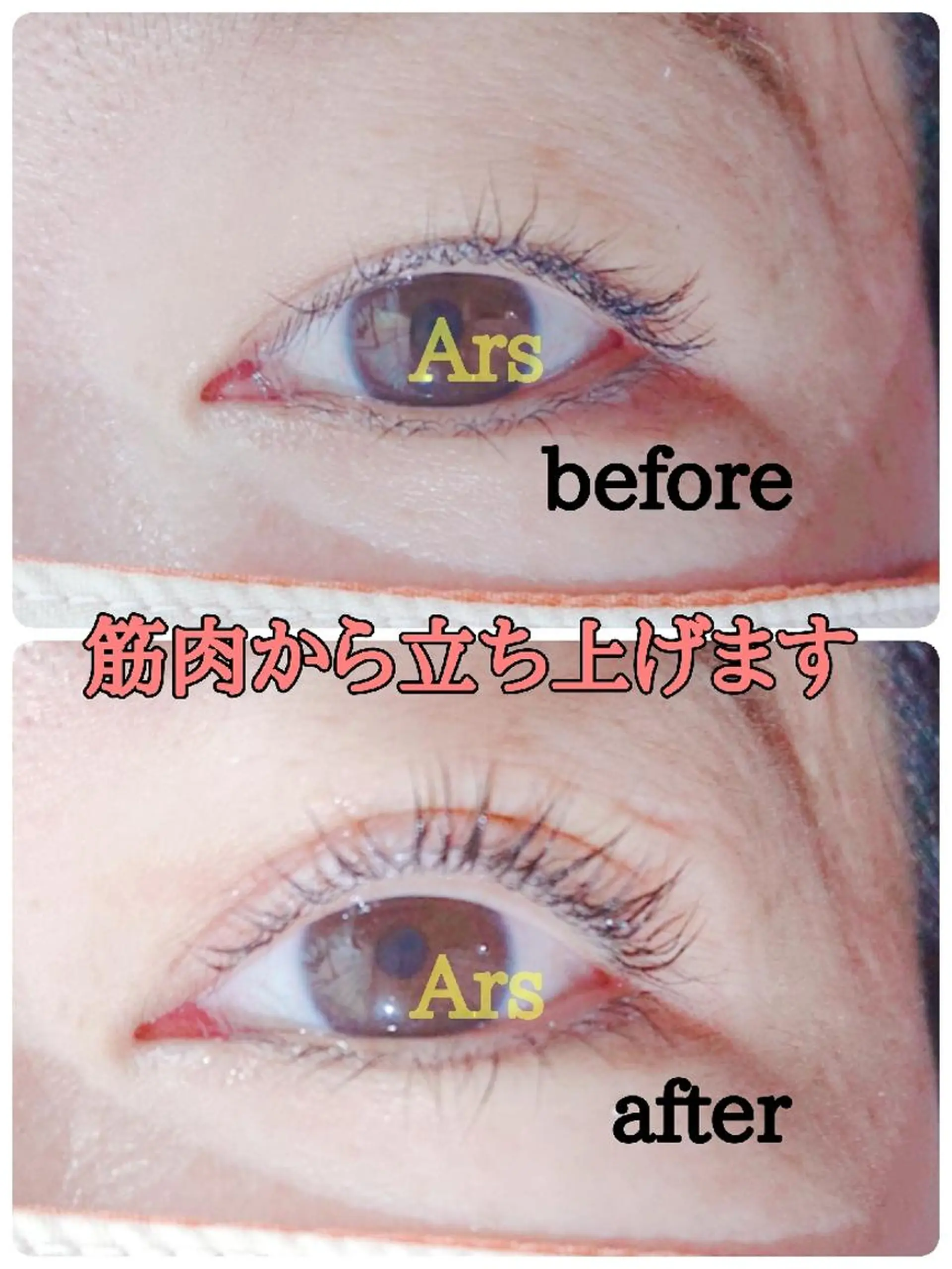 マツエク・マツパ アイリッドアップパーマ Ars      (ｱﾙｽ)のマツエク・マツパデザイン