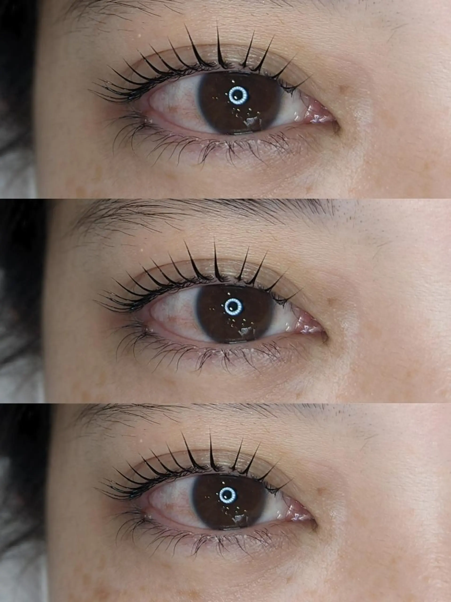 マツエク・マツパ 【STEEL池袋】 🌈MASHIMAのマツエク・マツパデザイン