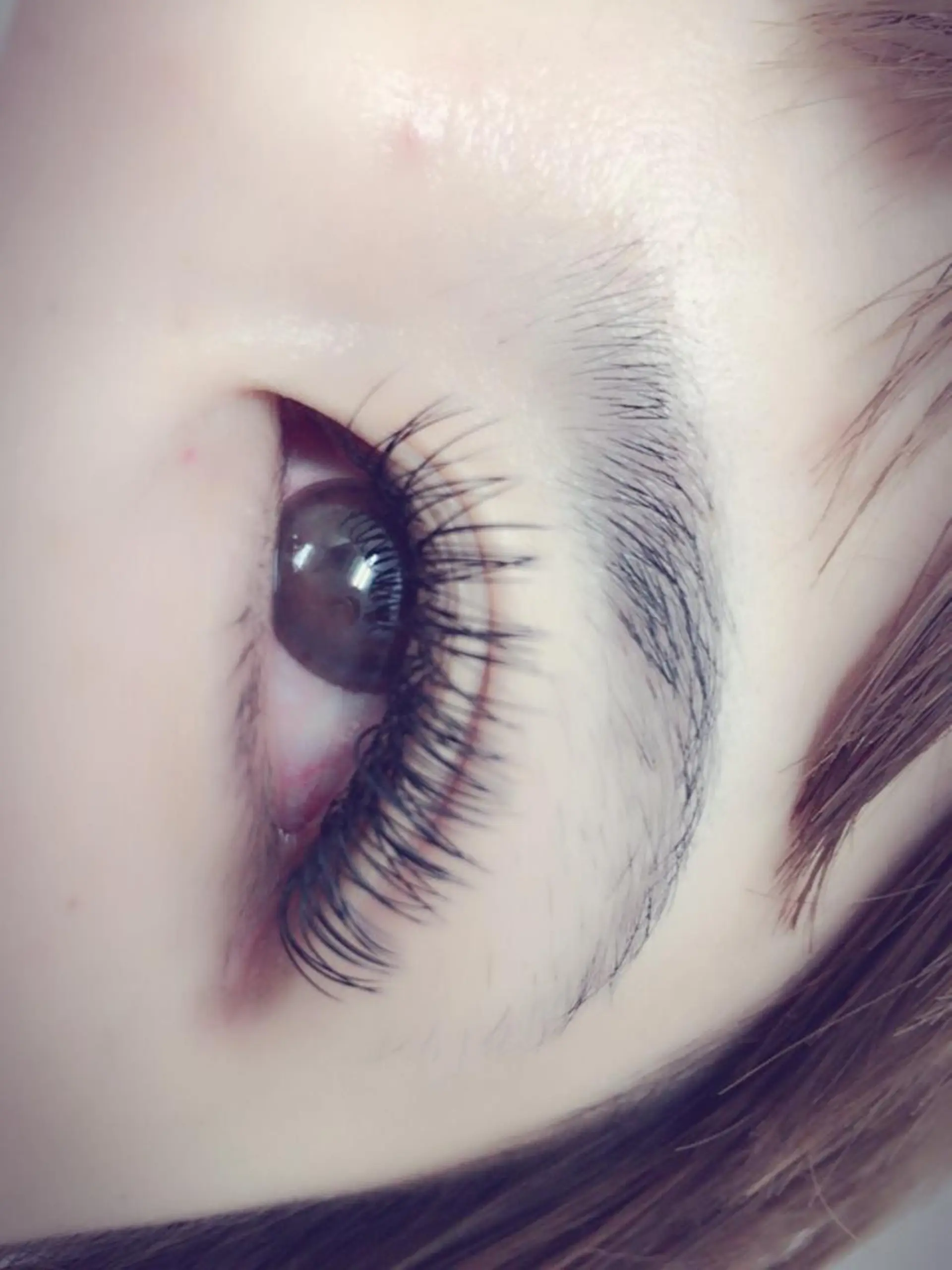 マツエク・マツパ 付け放題 ミンク セーブル Megu. anelloのマツエク・マツパデザイン