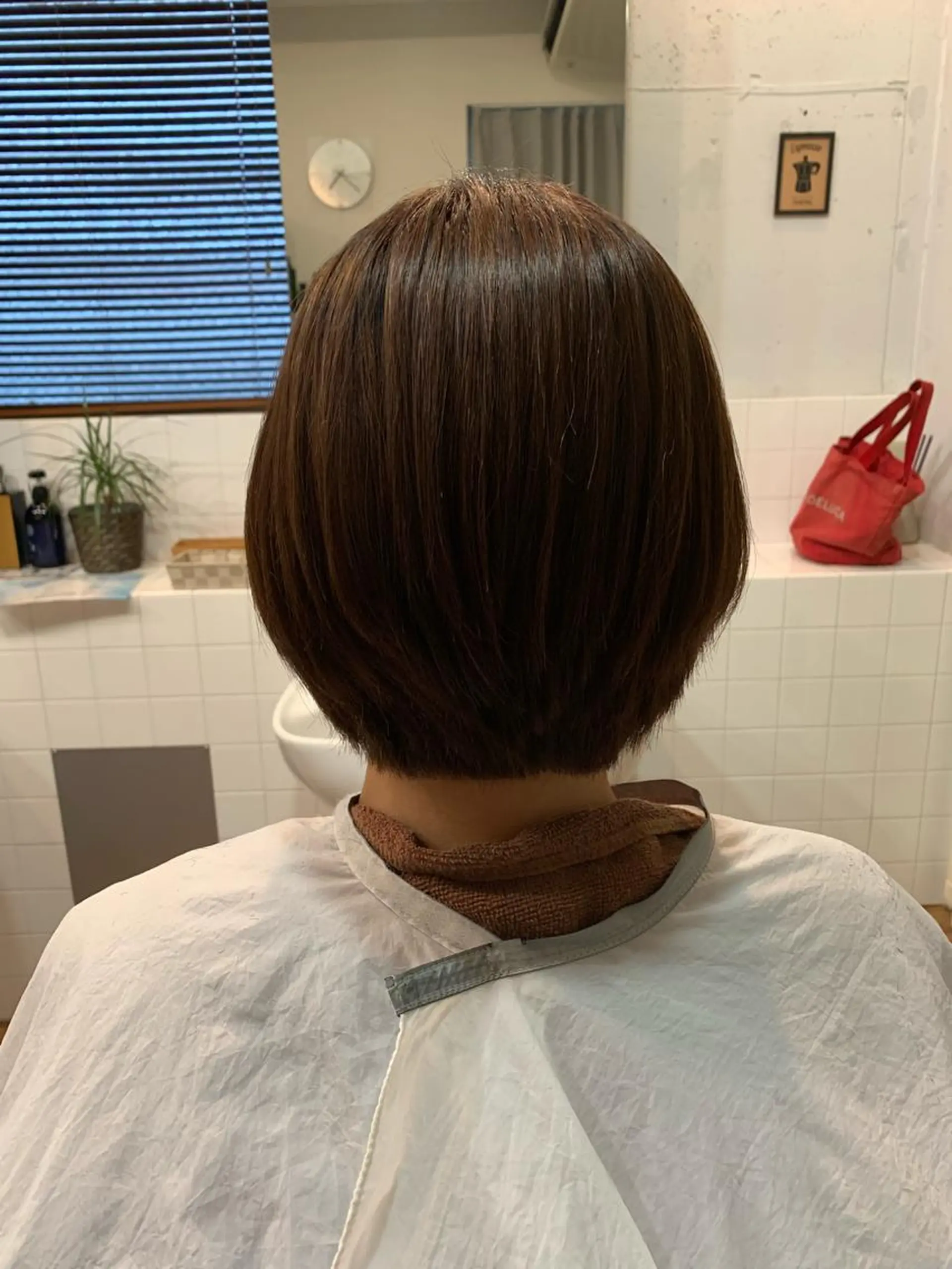 ショート 向井 優汰のヘアスタイル