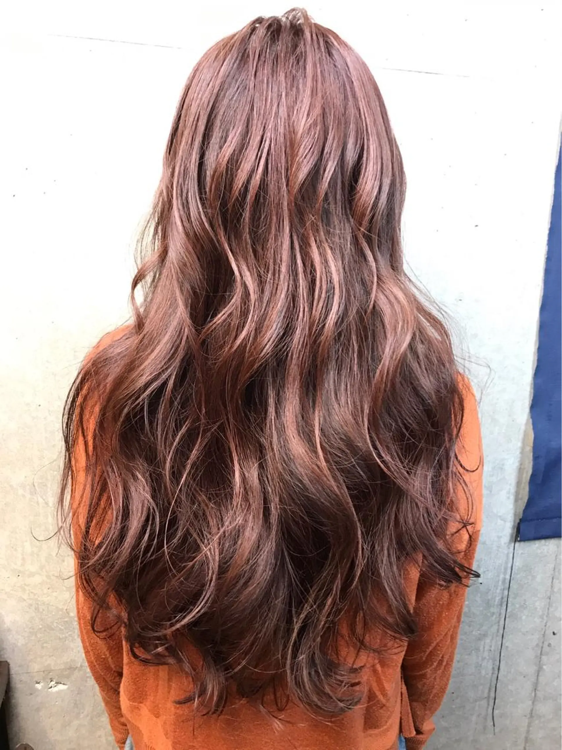 ロング カラー 白髪ぼかし×デザイン 🕊️🫧ホウジョウのヘアスタイル