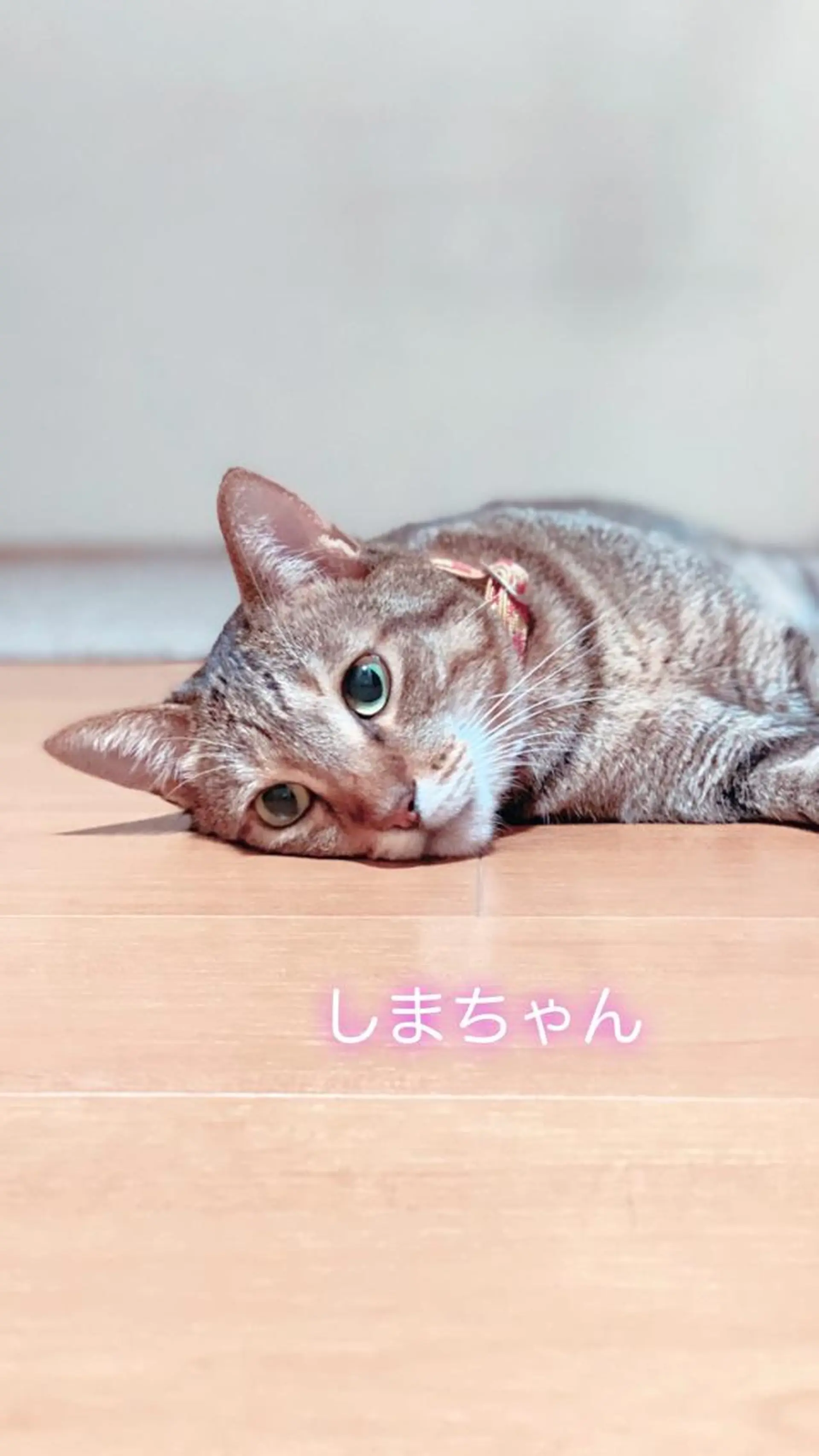 エステ リラク TOTAL BODY CARE SALON SUNNY所属・ブライダルエステ 美容整体・筋膜オイルのエステ・リラクイメージ