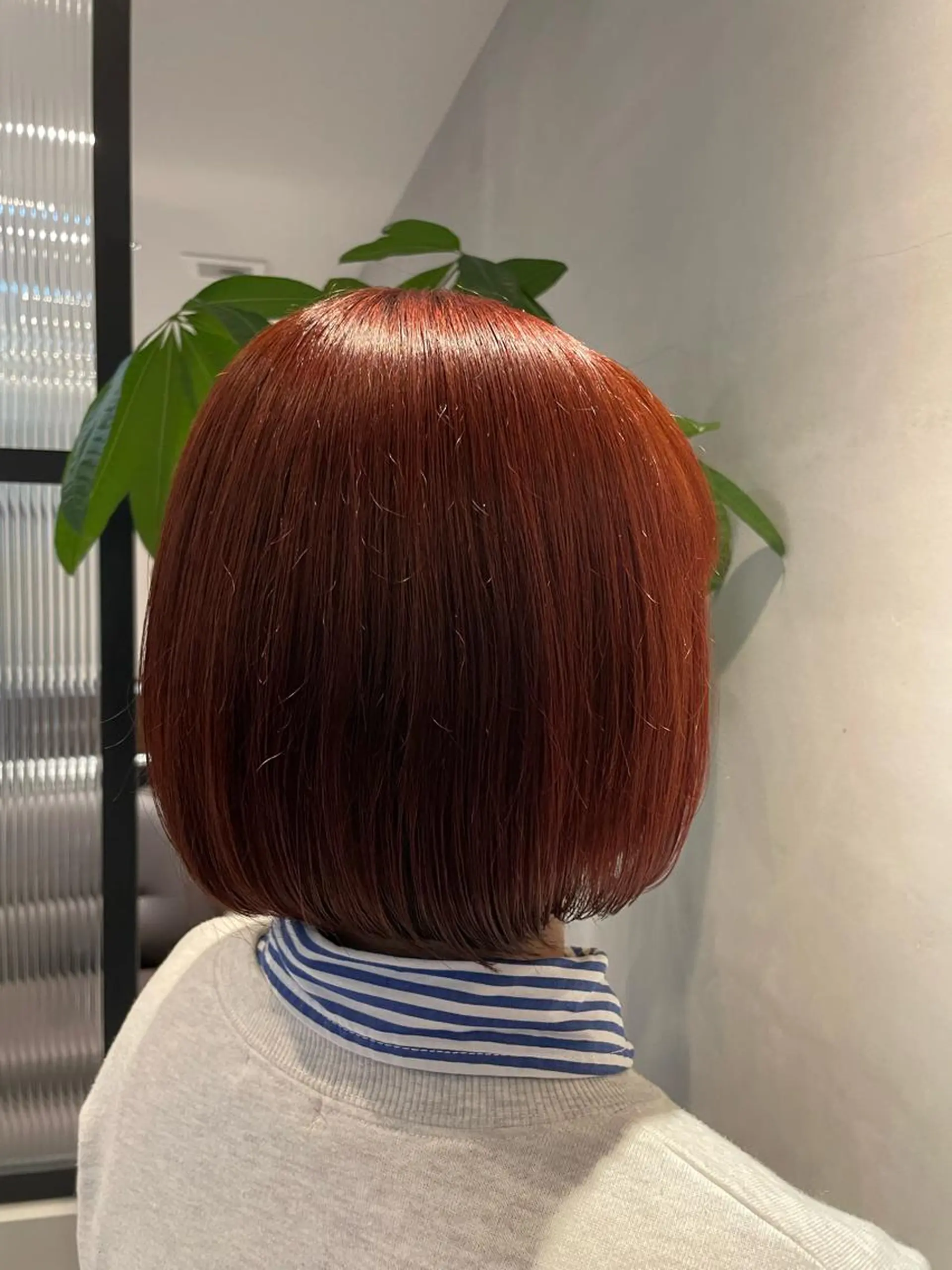 カラー 縮毛矯正/韓国ヘア レイヤー/そらのヘアスタイル