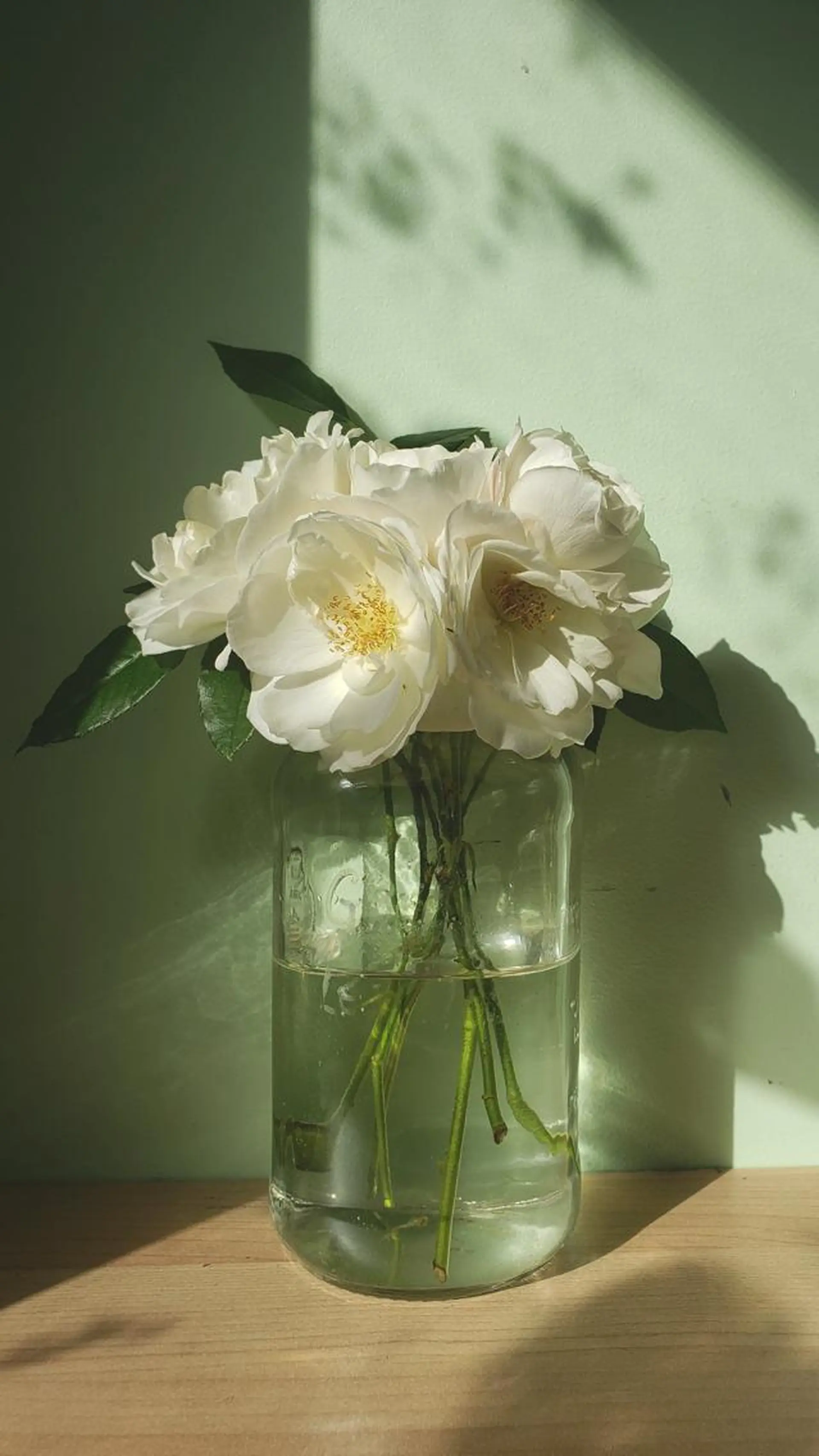 Pelsona NOZOMIのマツエク・マツパデザイン