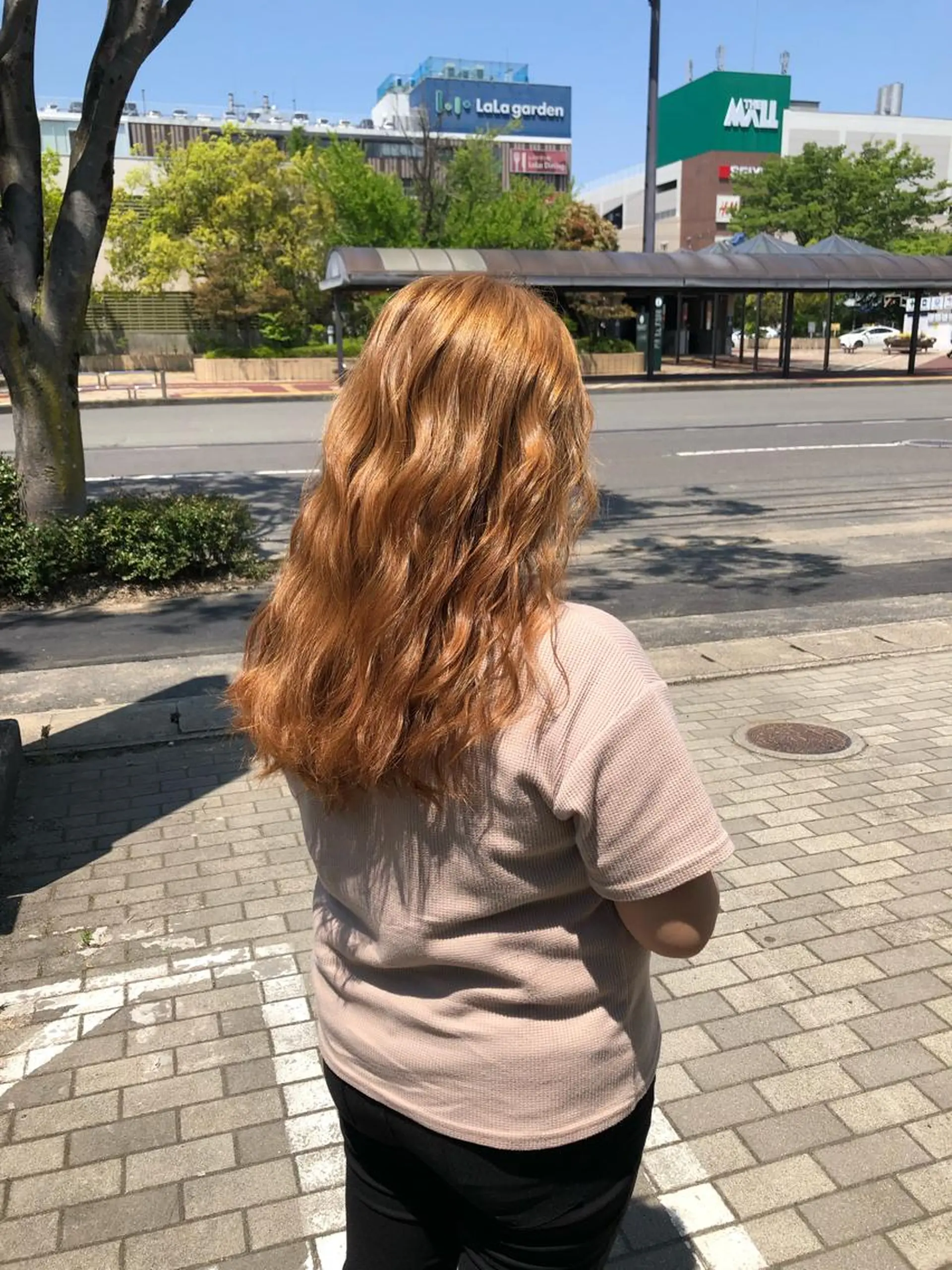 セミロング カラー 太白区/白髪ぼかし ハイライト/千葉達人のヘアスタイル