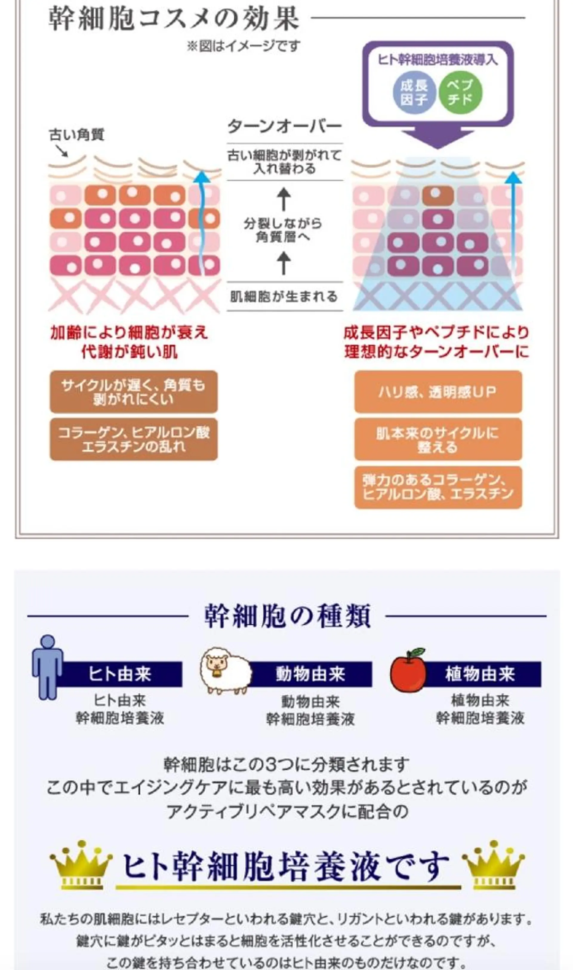 エステ リラク Non ビューティサロンのエステ・リラクイメージ