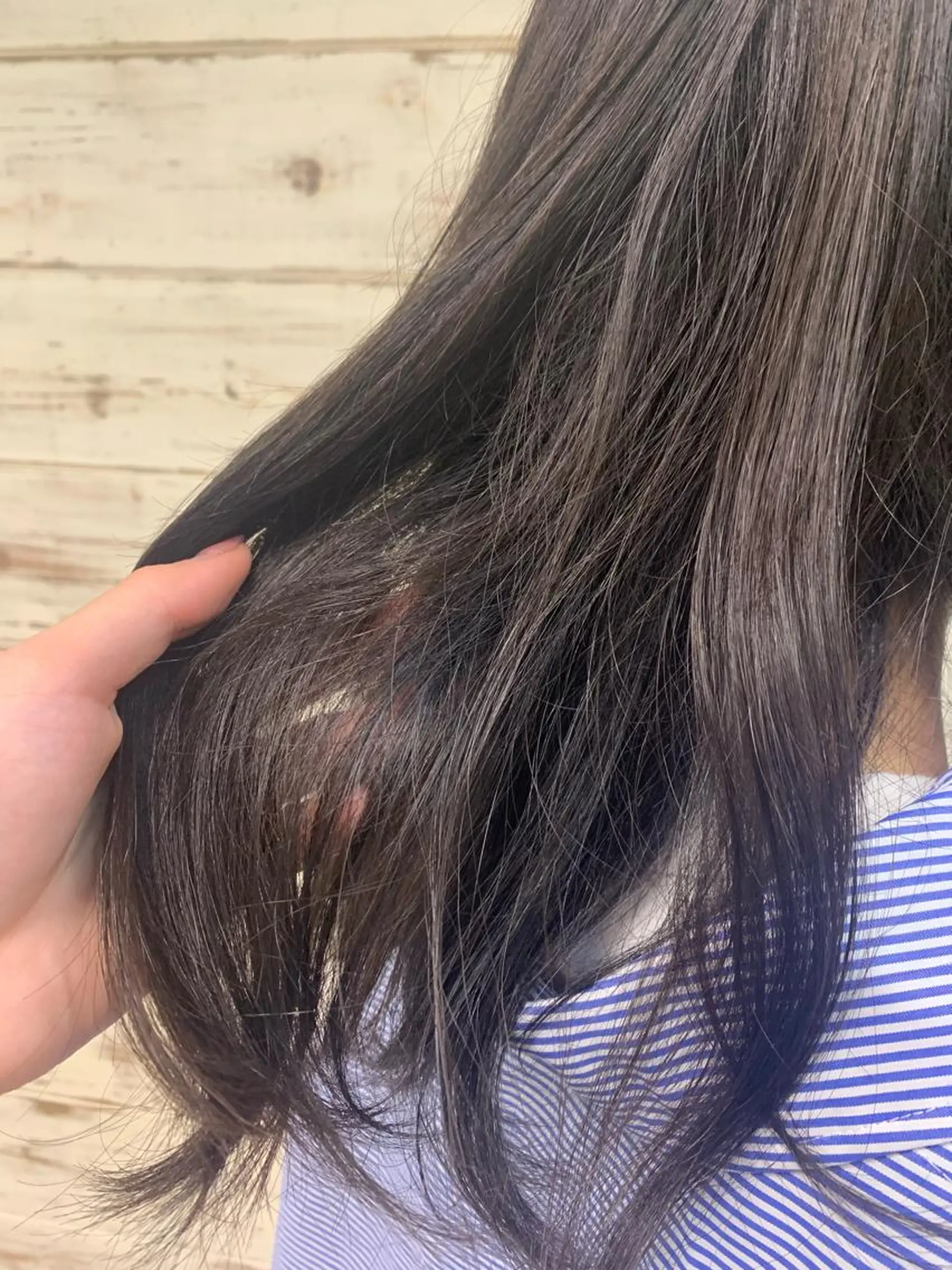 セミロング カラー ヘアアレンジ 🫧ヒシダアキ taboo.i🫧のヘアスタイル