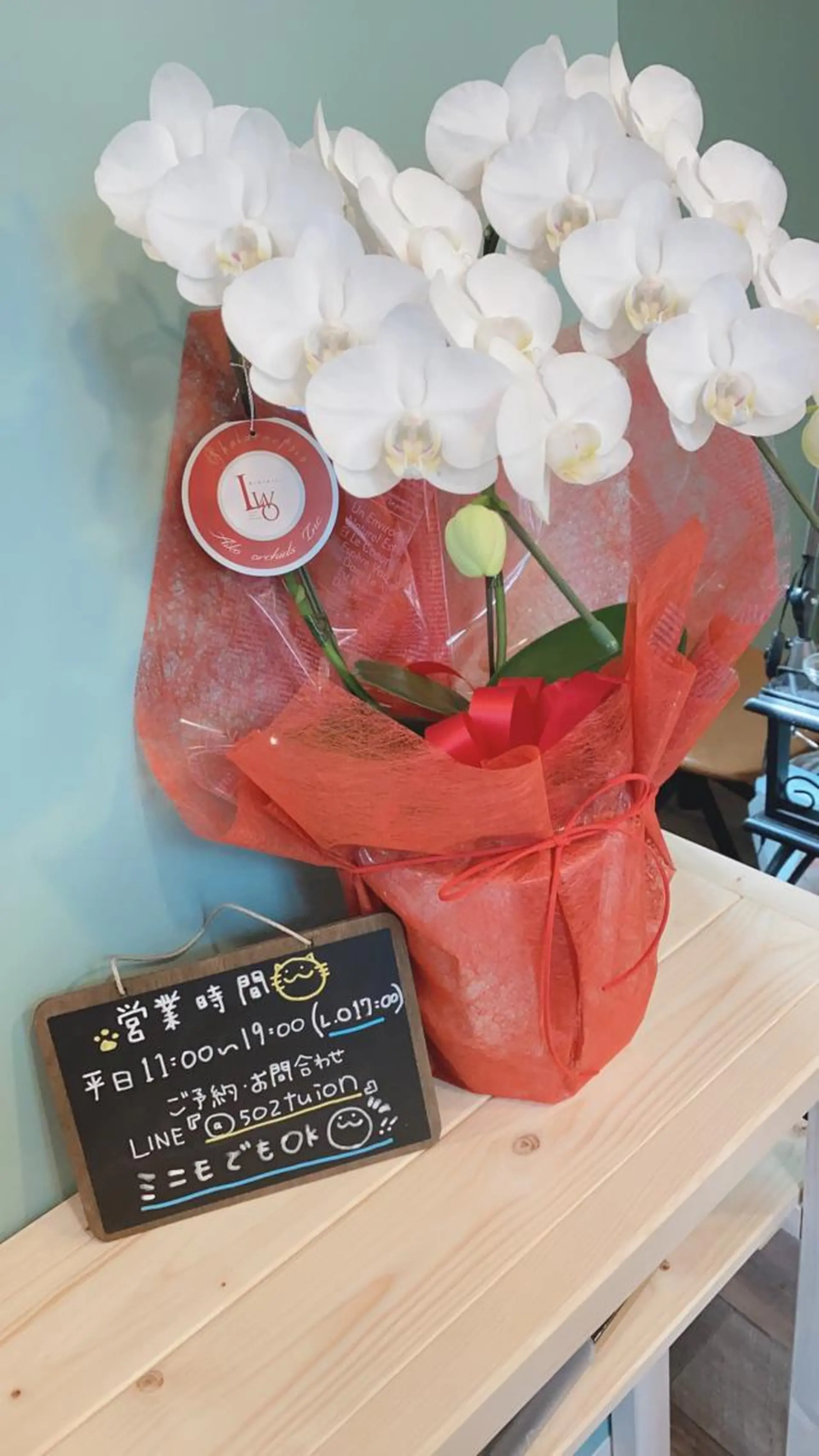 nailsalon GEARのネイルデザイン