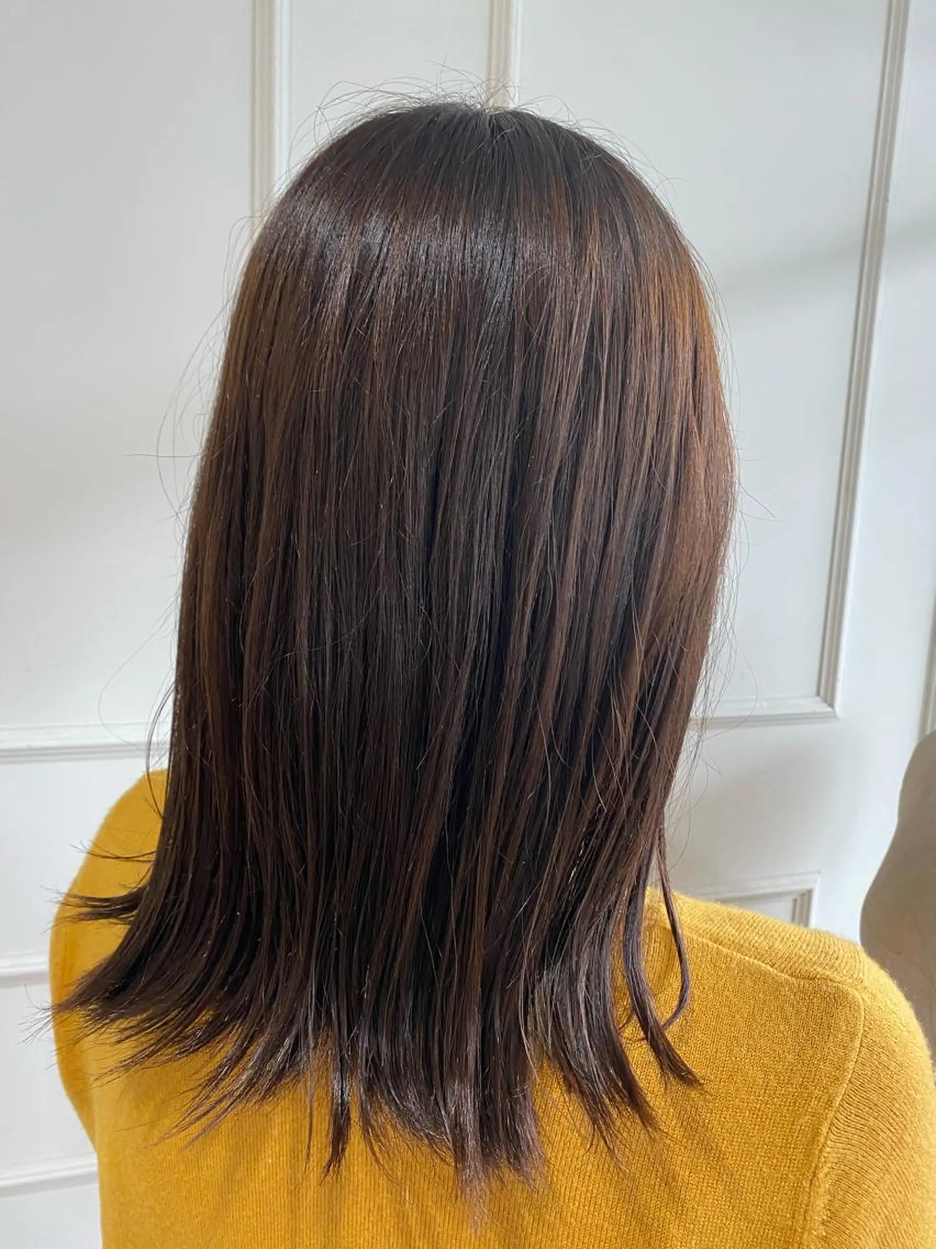 セミロング カラー 日野 めぐみのヘアスタイル