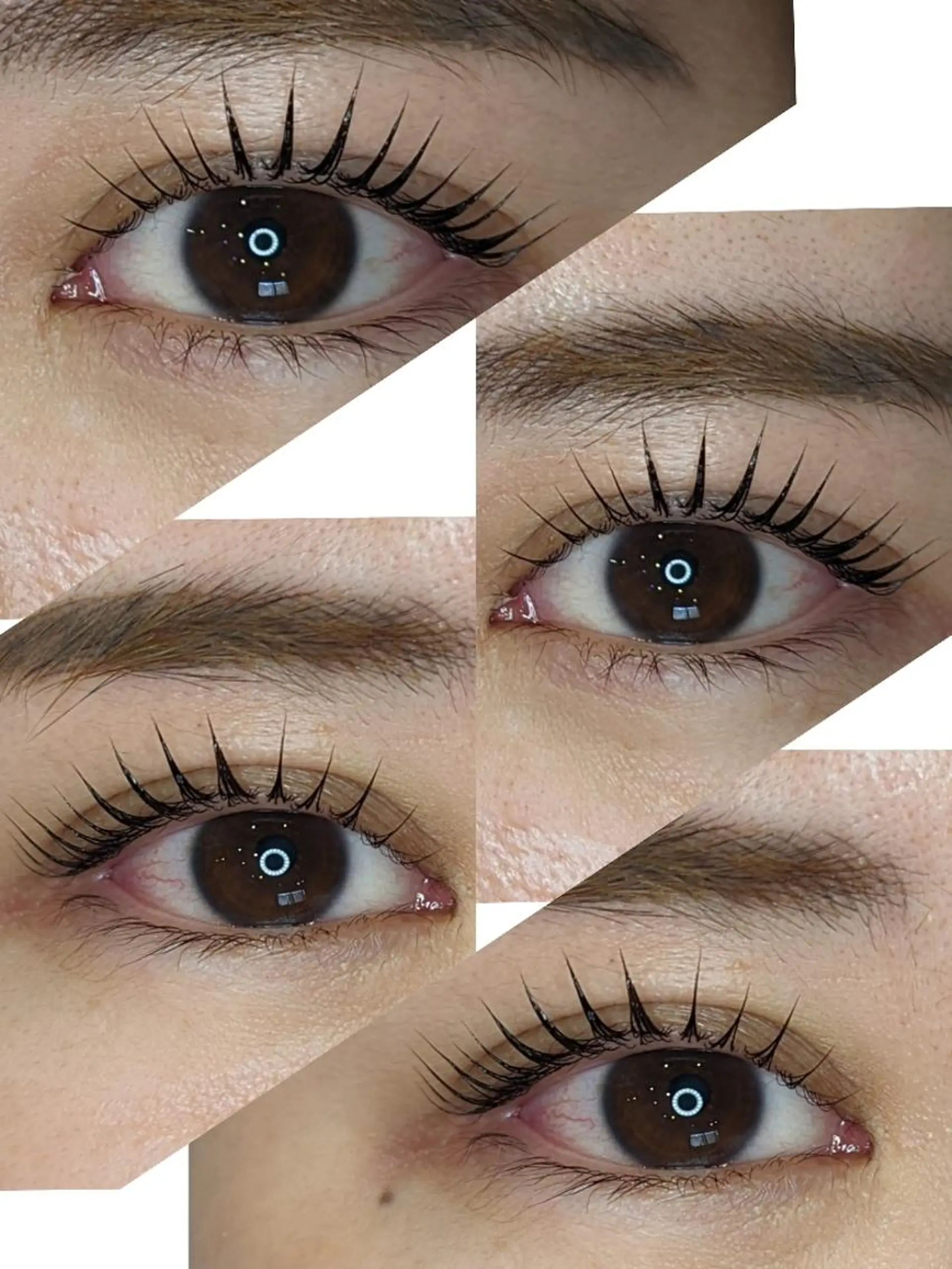 マツエク・マツパ 【STEEL池袋】 🌈MASHIMAのマツエク・マツパデザイン