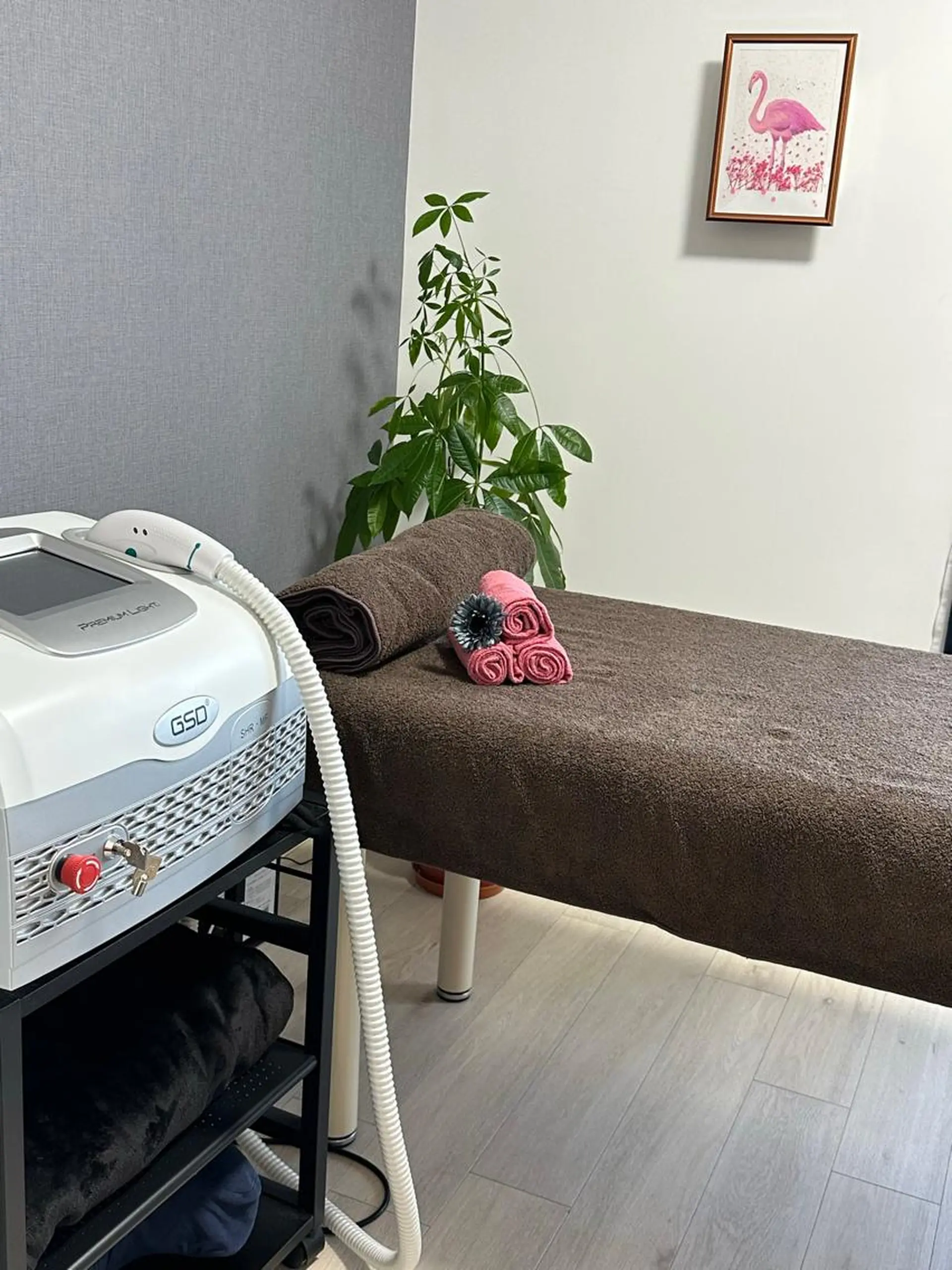 care court ALICE所属・無期限海外修行中 Alice名古屋脱毛のエステ・リラクイメージ