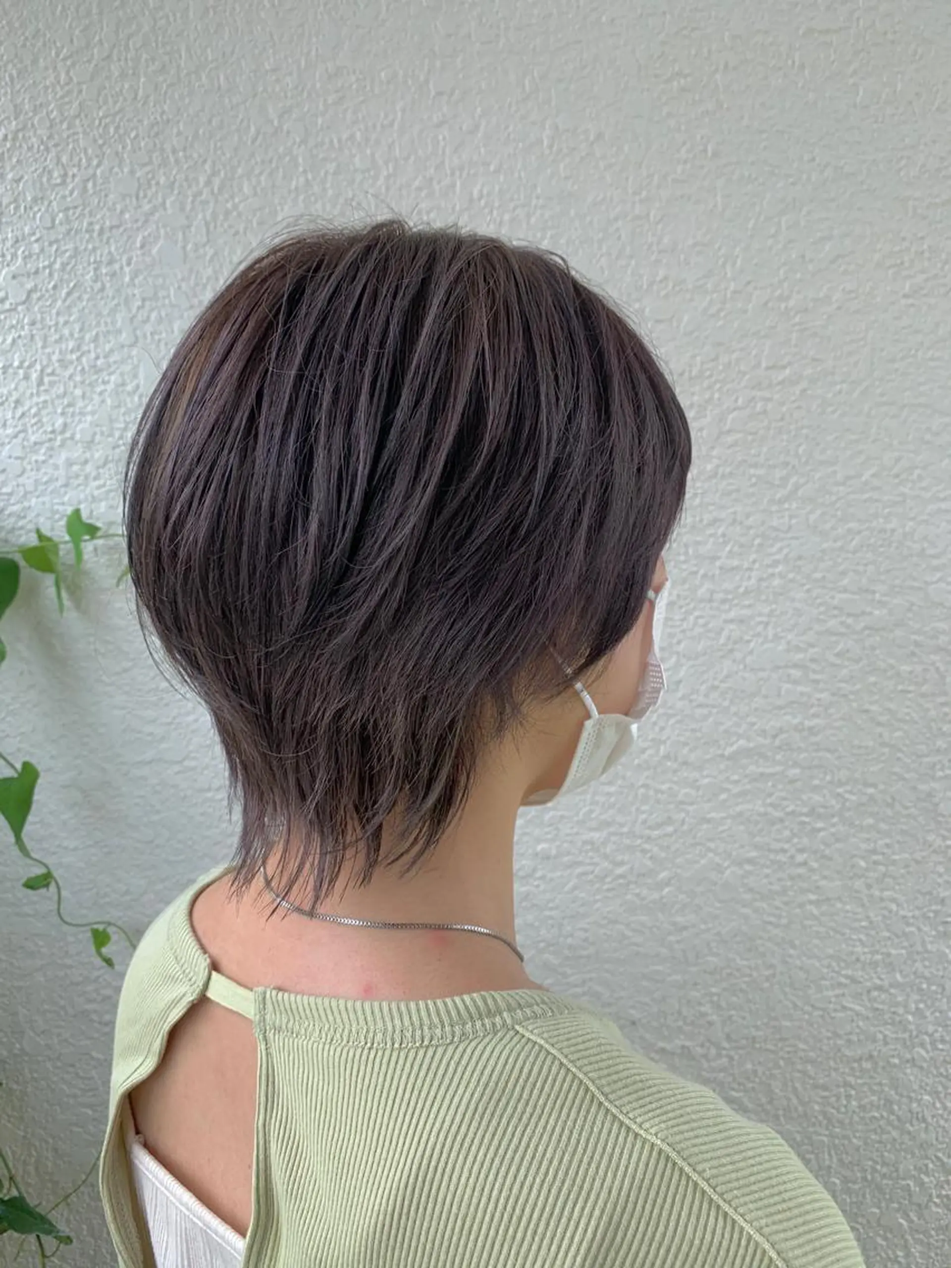 ショート ウルフカット 小杉輝/ショート /艶カラー✨のヘアスタイル