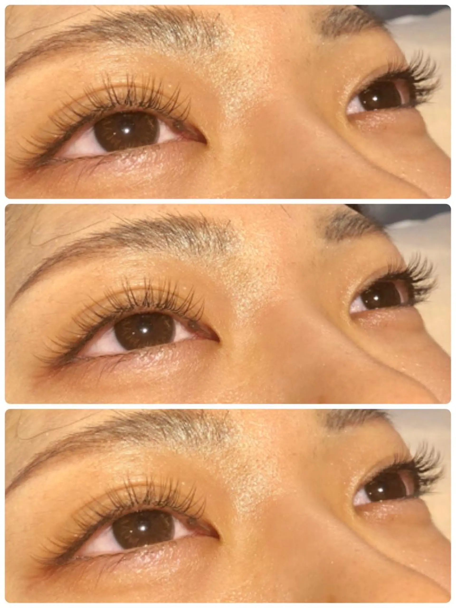 マツエク・マツパ カラーマツエク 矢野 詩依奈の眉毛・アイブロウイメージ