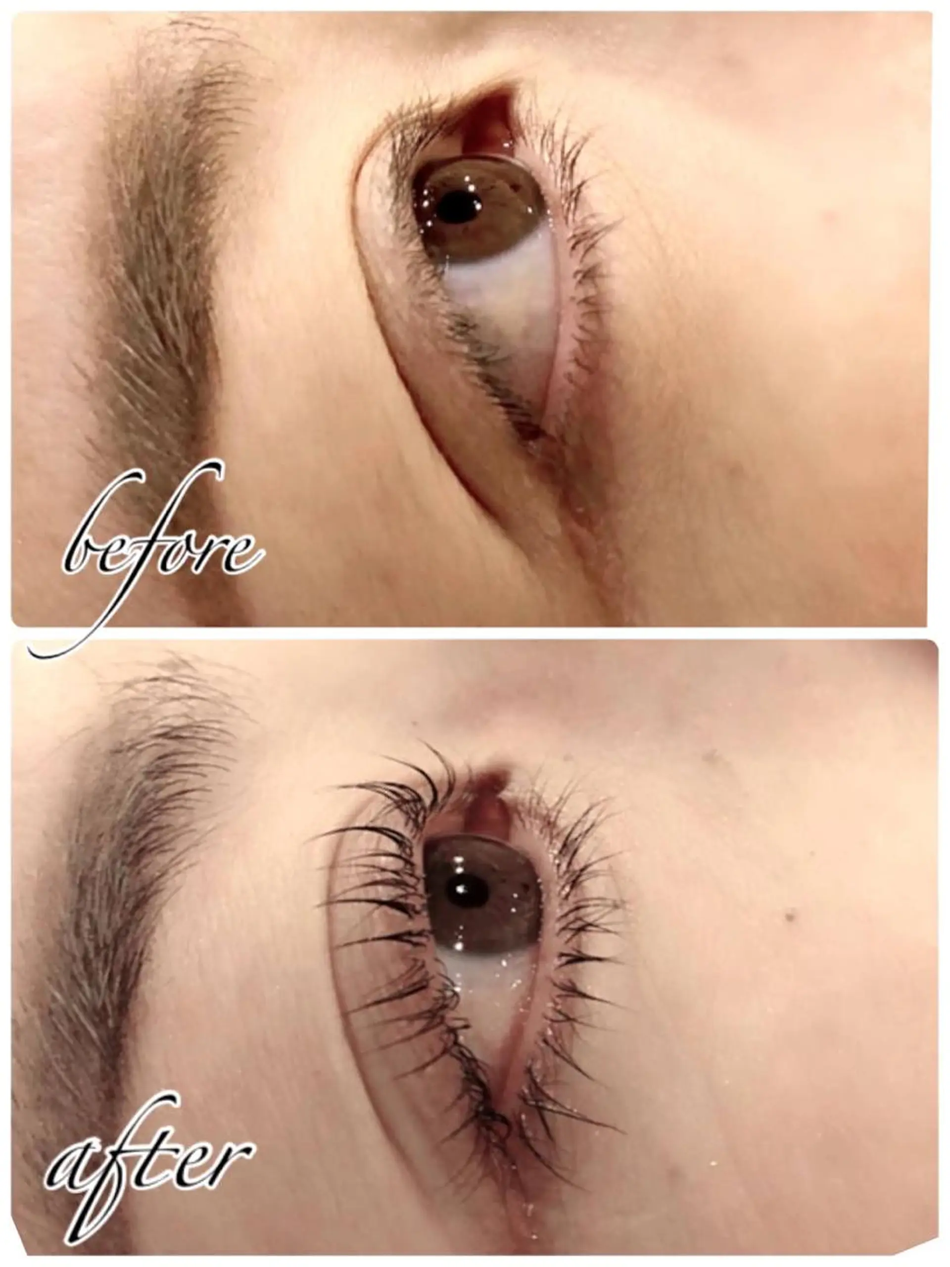 マツエク・マツパ マツパ Licola リコラのヘアスタイル