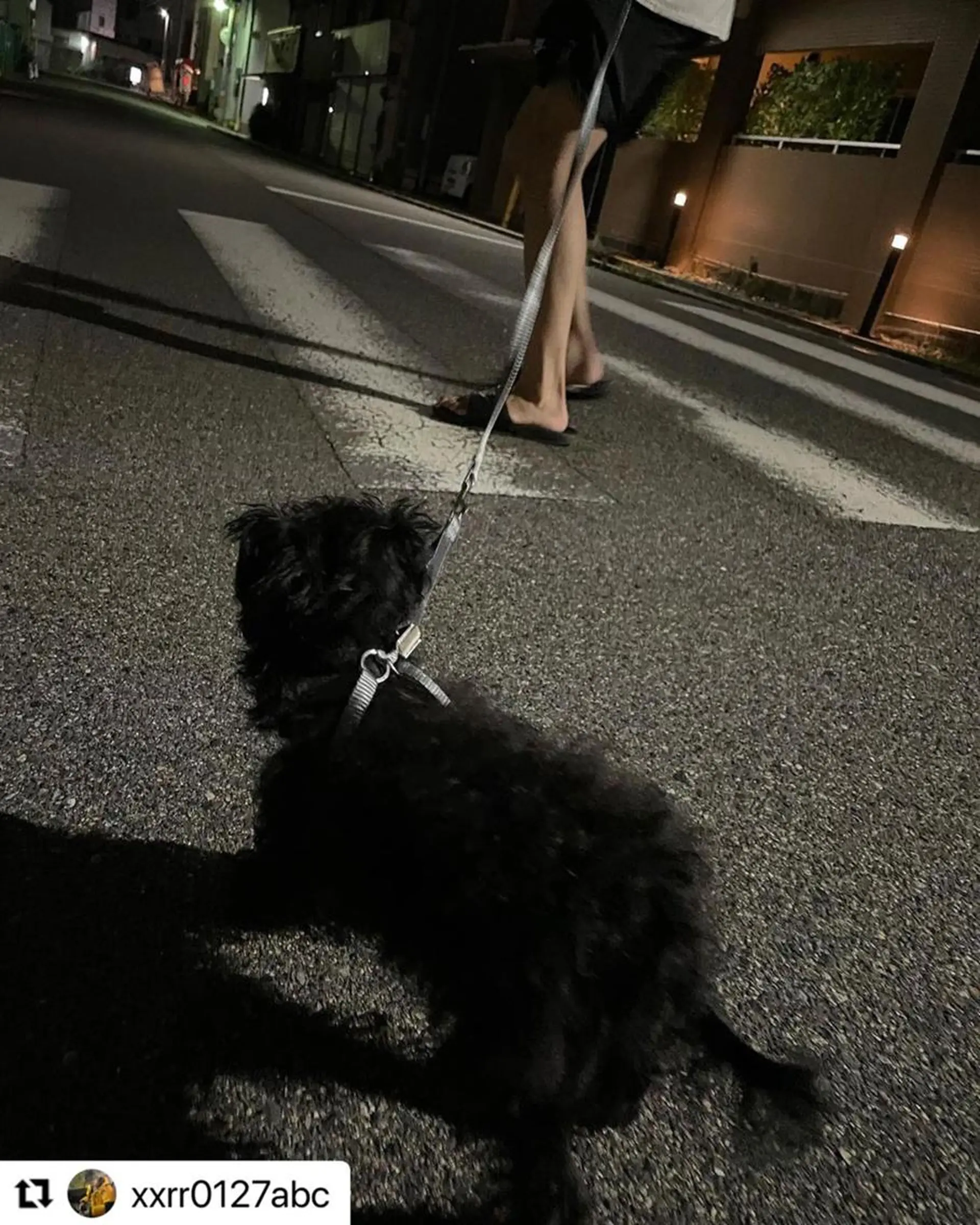 ミディアム カラー メンズ 🩷Eny terrace🩷のヘアスタイル