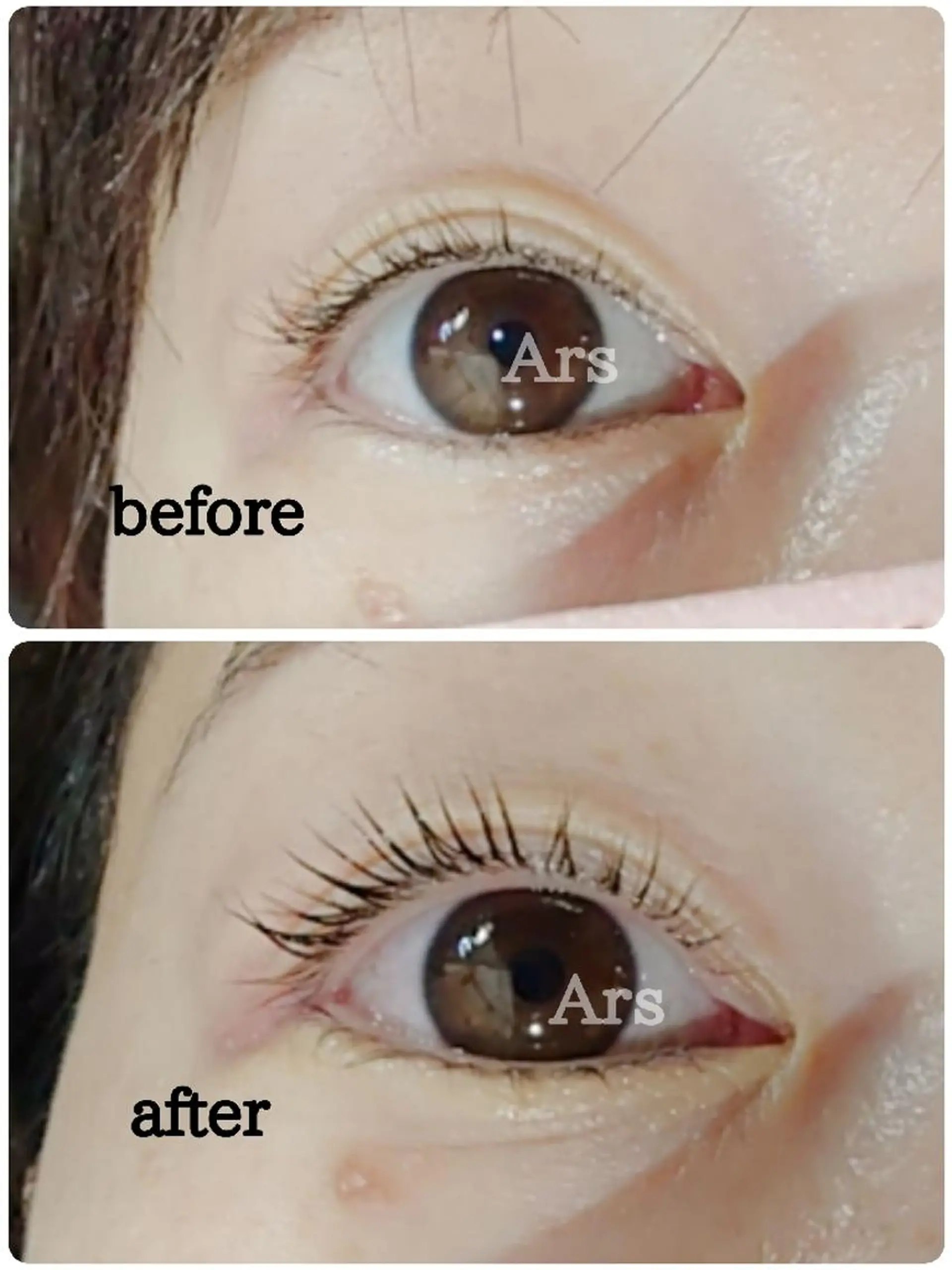 マツエク・マツパ アイリッドアップパーマ Ars  (ｱﾙｽ)所属・Ars      (ｱﾙｽ)のマツエク・マツパデザイン