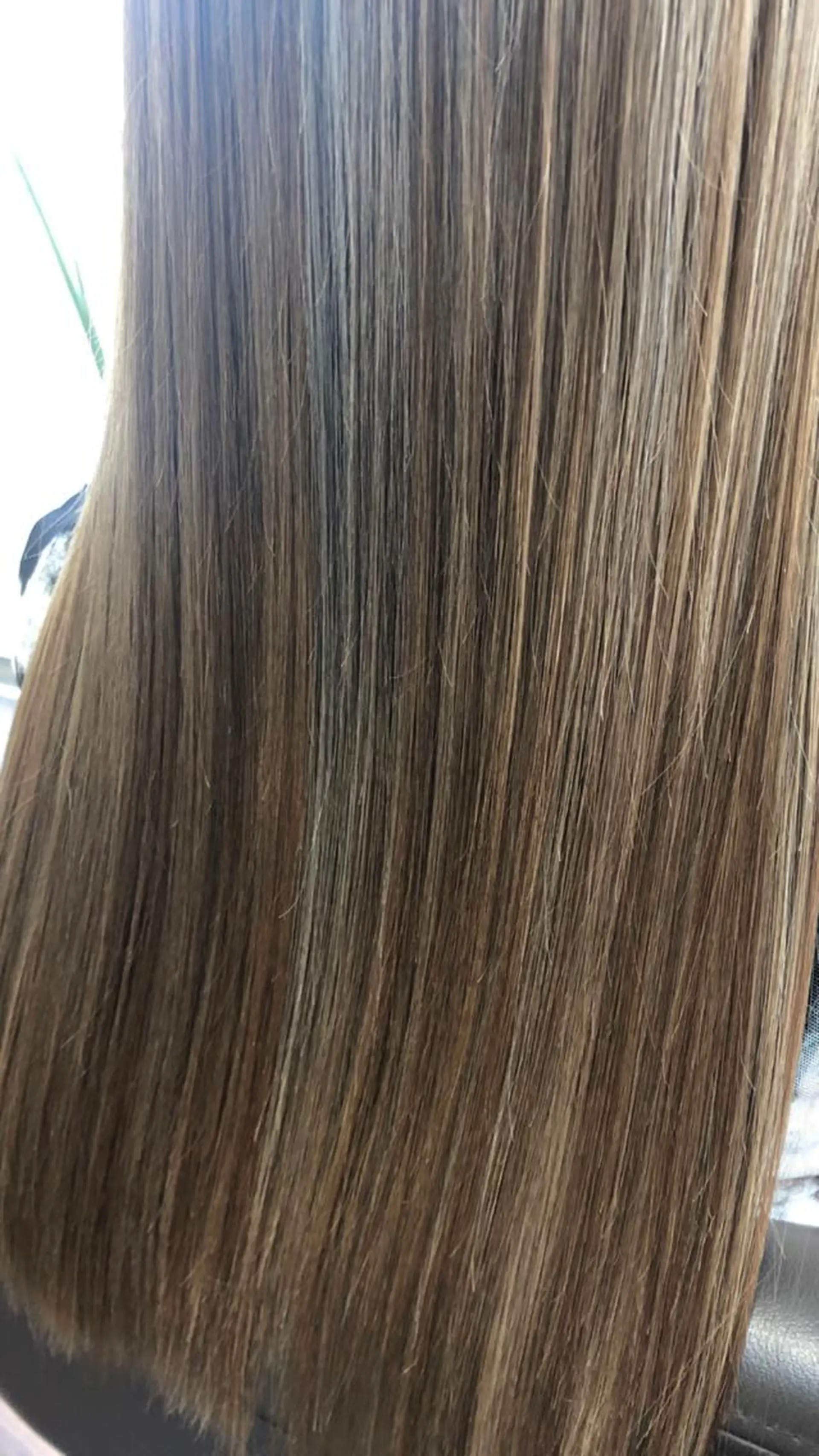 冨木 雄斗のヘアスタイル