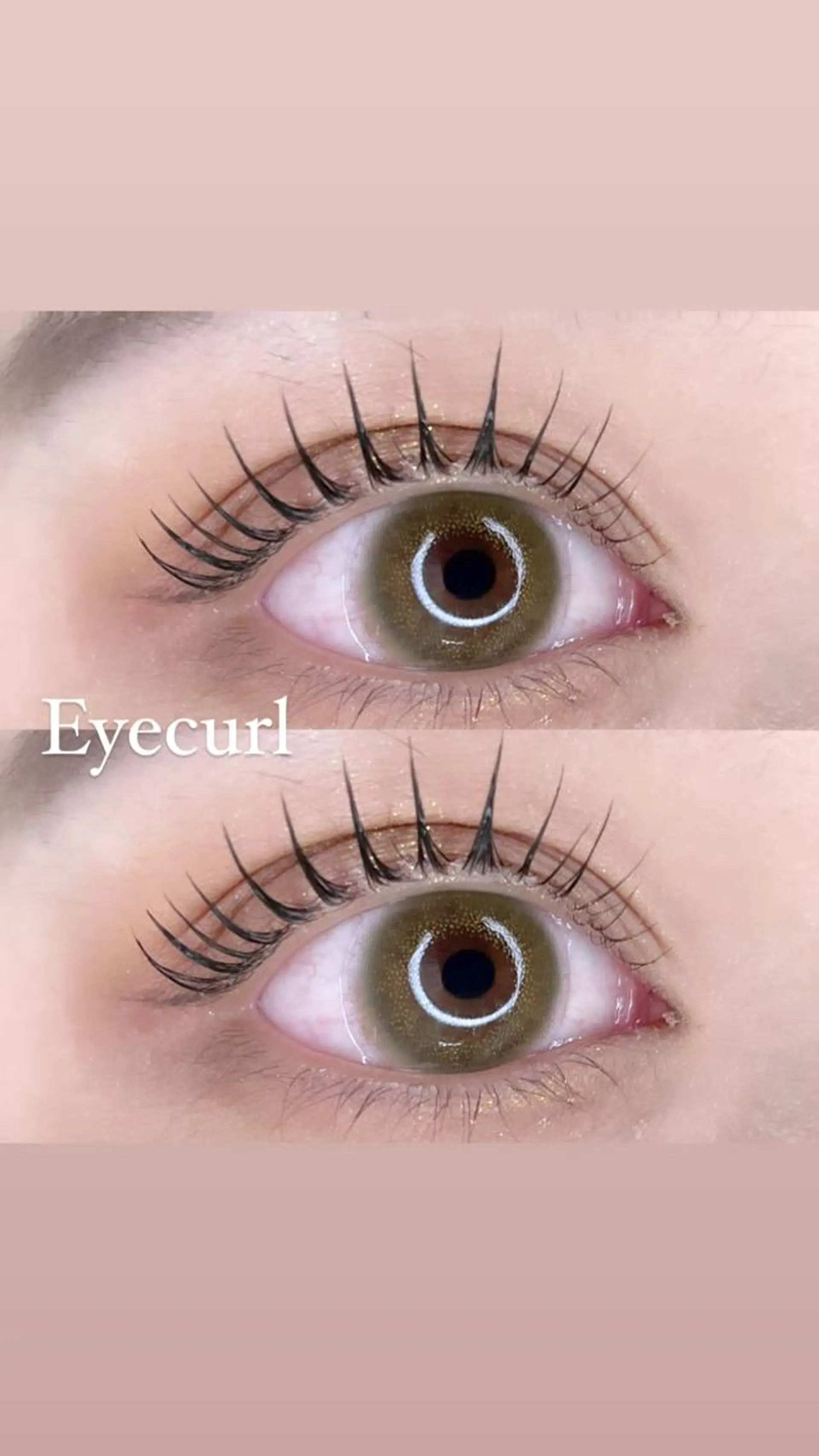 マツエク・マツパ ケラチンラッシュリフト BAMBI 🖤KAWAIのマツエク・マツパデザイン