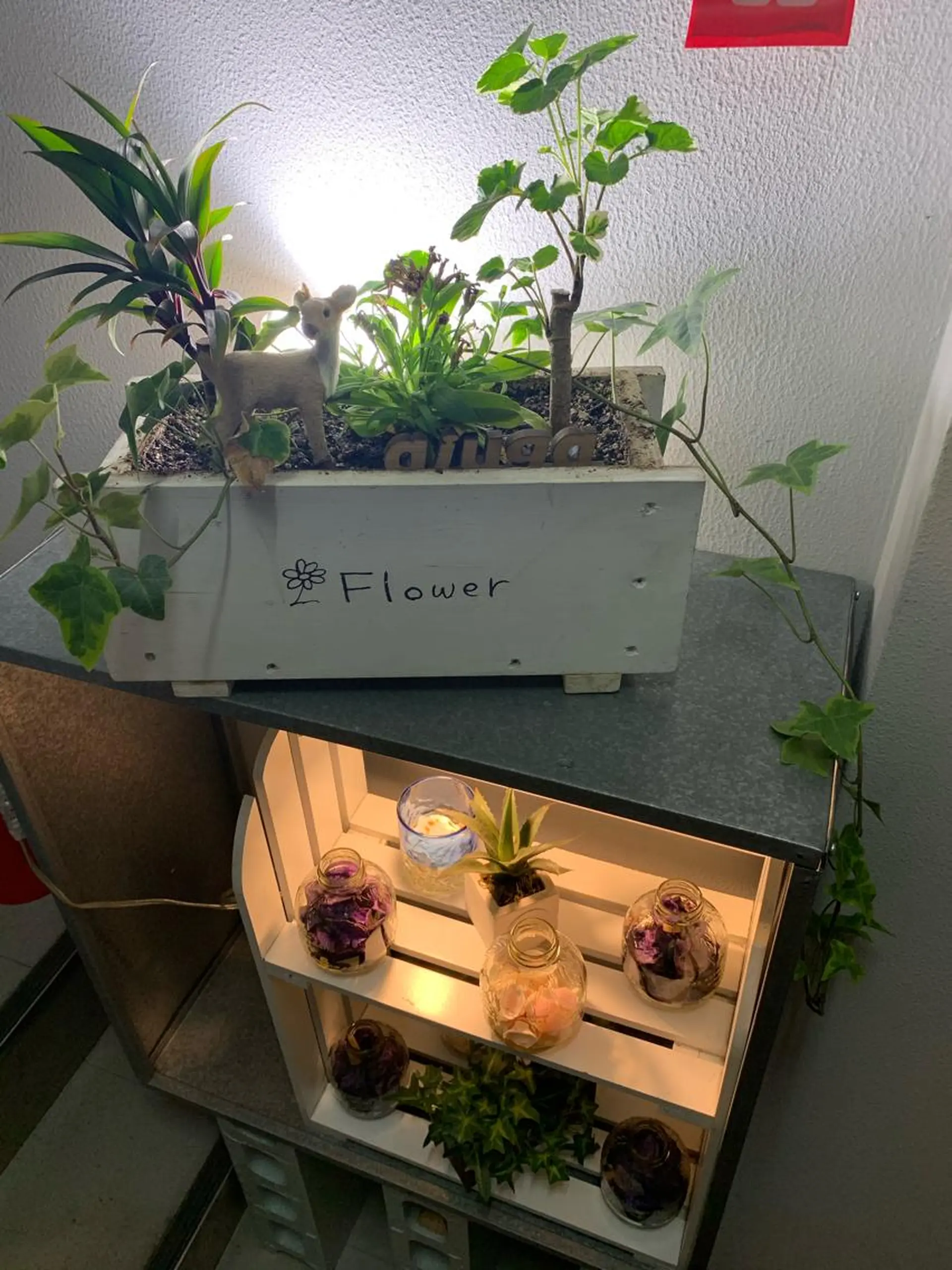 hama yukiのヘアスタイル