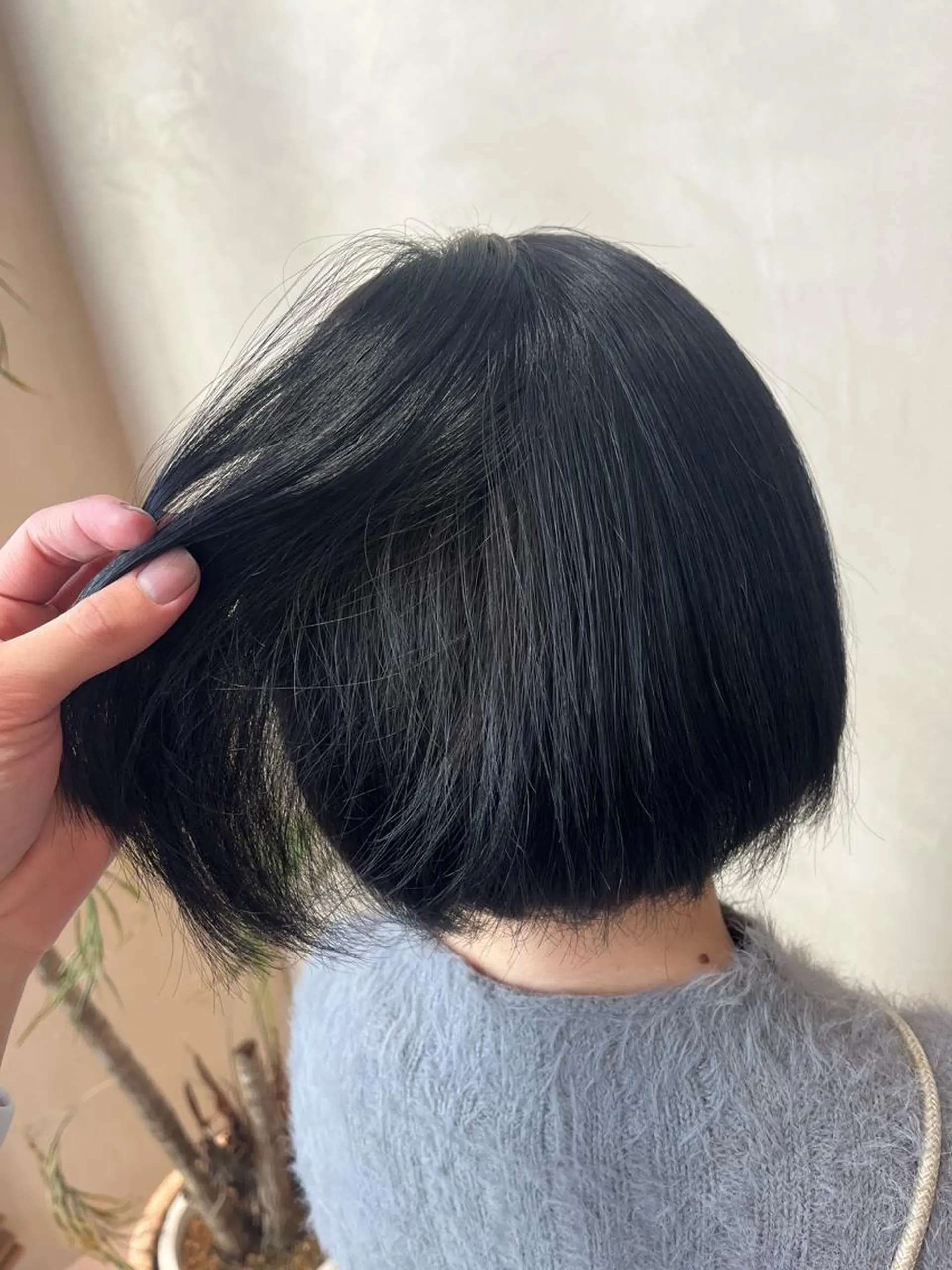 ショート 韓国ヘア/館林美容室 /髪質改善/涼のヘアスタイル