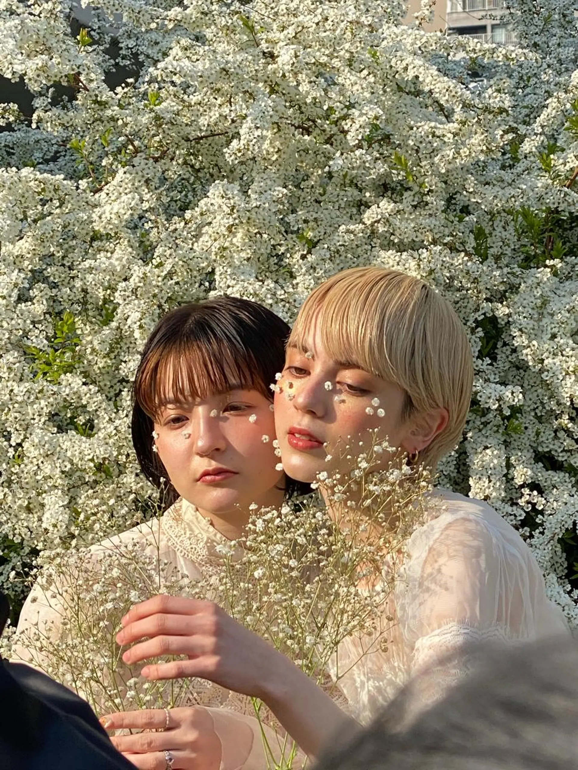 ショート カラー ヘアアレンジ レイヤーカット×髪質 改善🇰🇷シオリのヘアスタイル