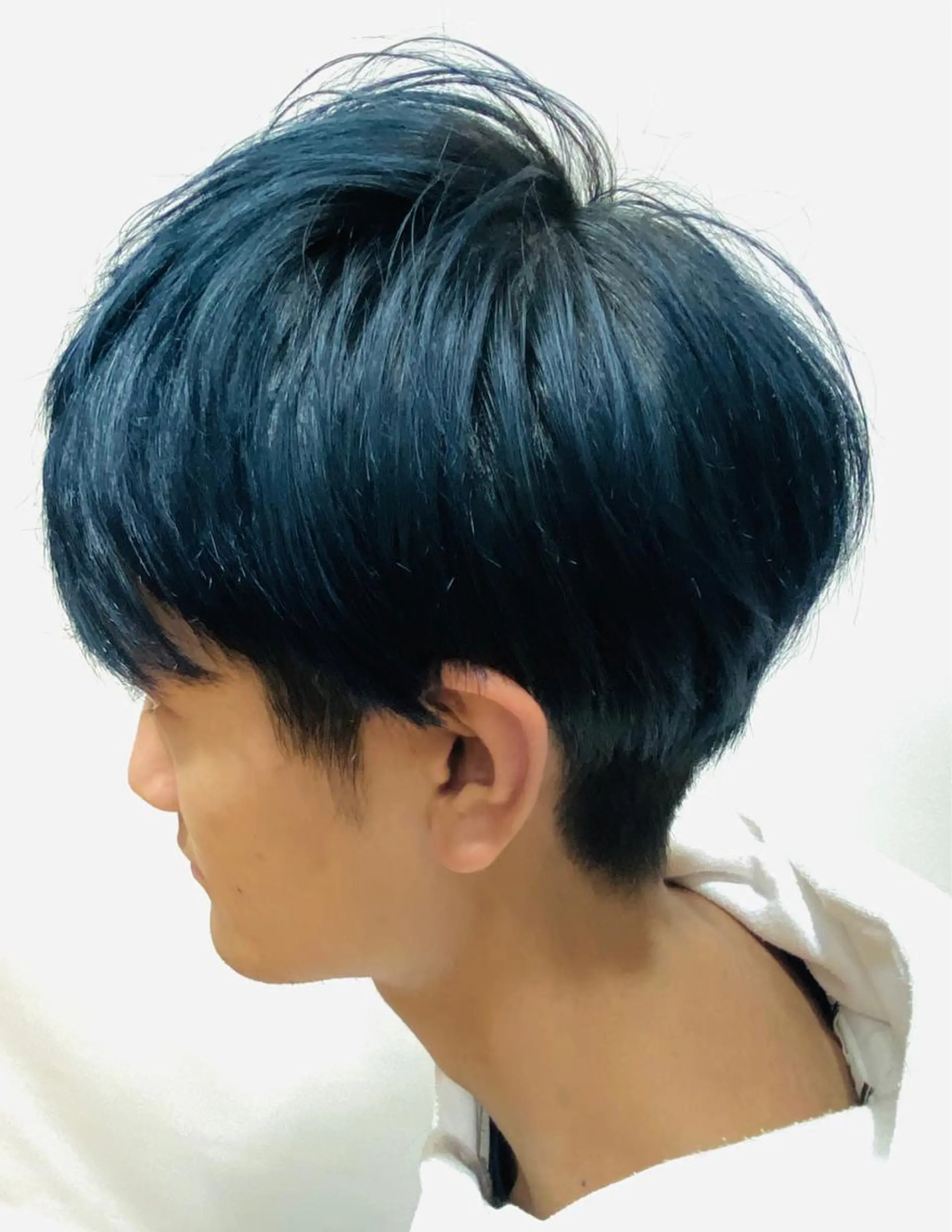 ショート カラー メンズ 黒髪 ブルーカラー ネイビーカラー 大野 あさみのヘアスタイル