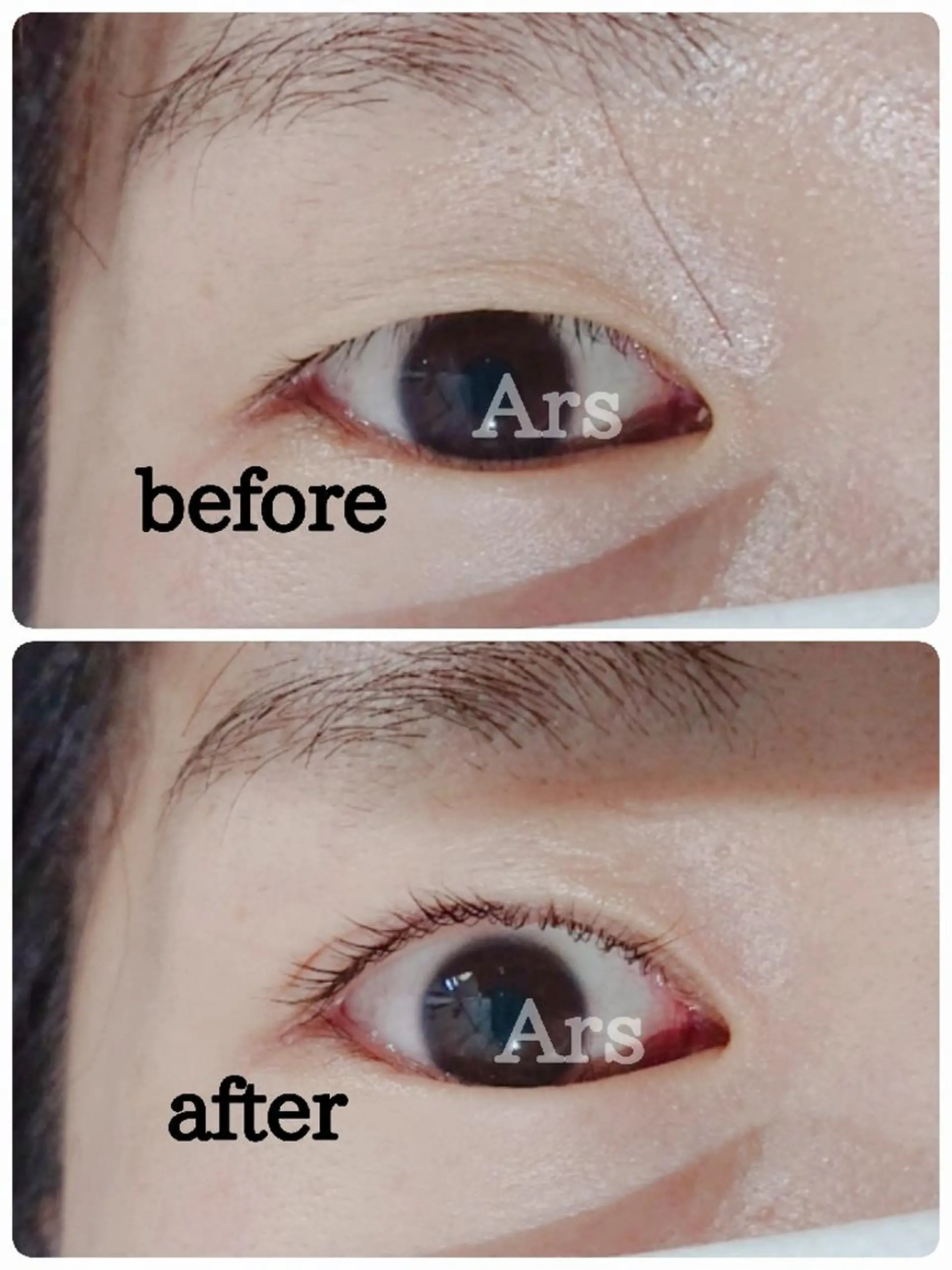 マツエク・マツパ アイリッドアップパーマ Ars  (ｱﾙｽ)所属・Ars      (ｱﾙｽ)のマツエク・マツパデザイン