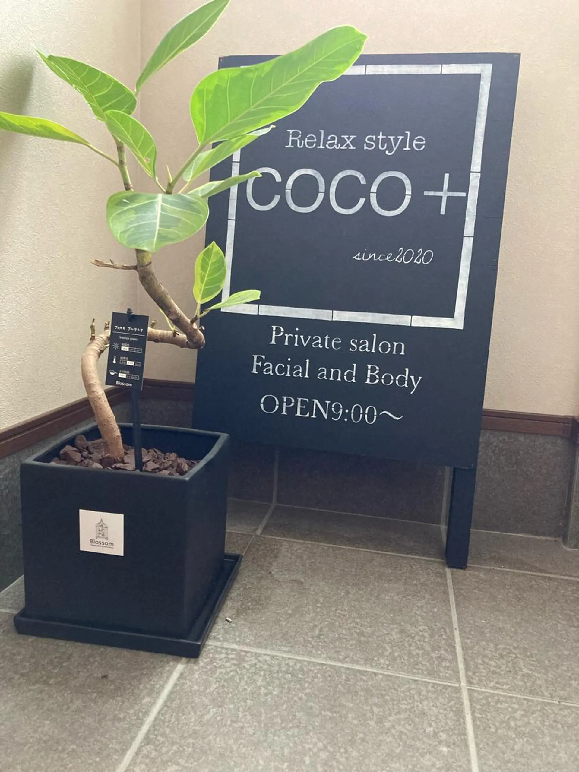 Relaxstyle ＣＯＣＯ+ココプラスの眉毛・アイブロウイメージ