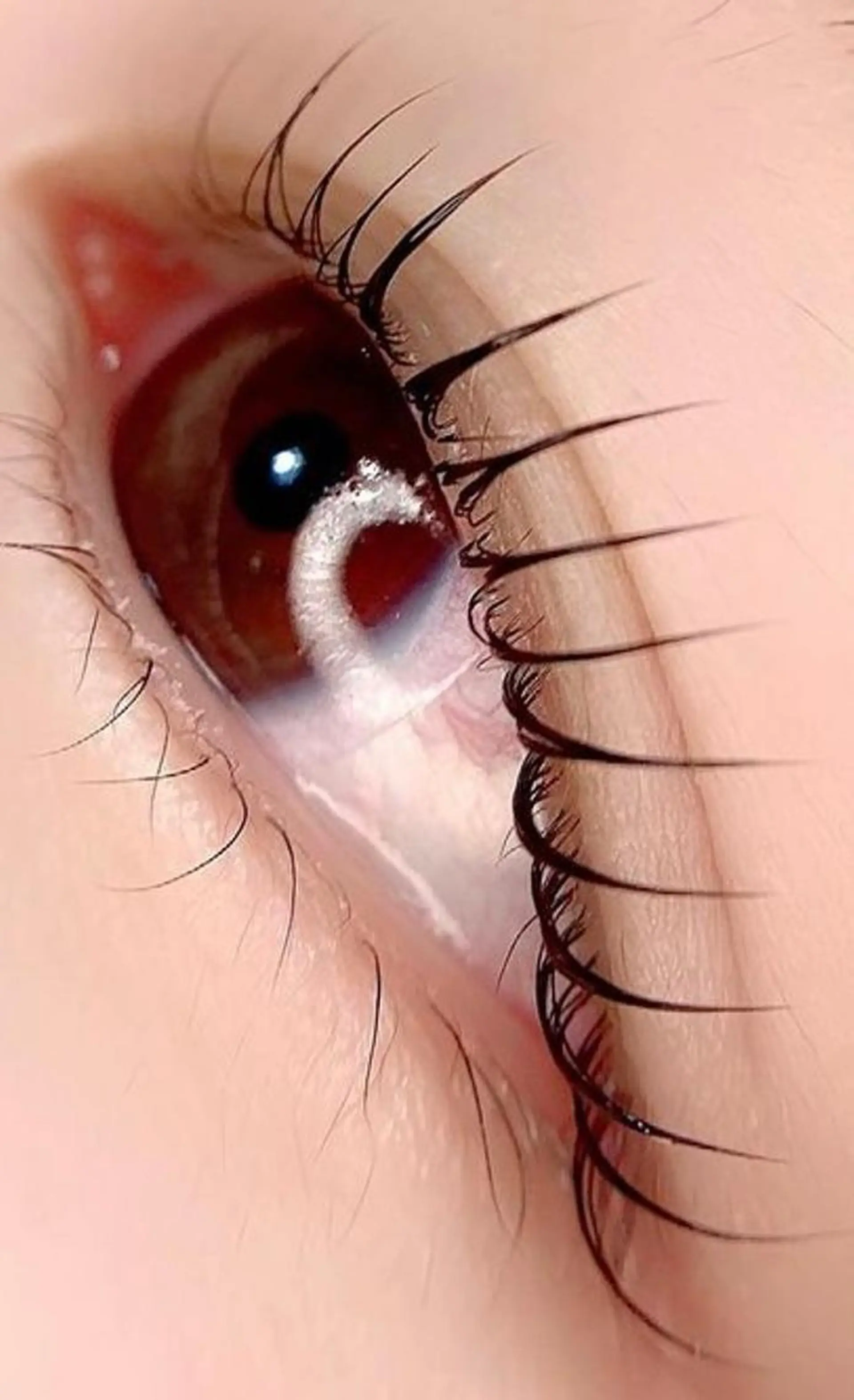 マツエク・マツパ マツパ H. EYEのマツエク・マツパデザイン