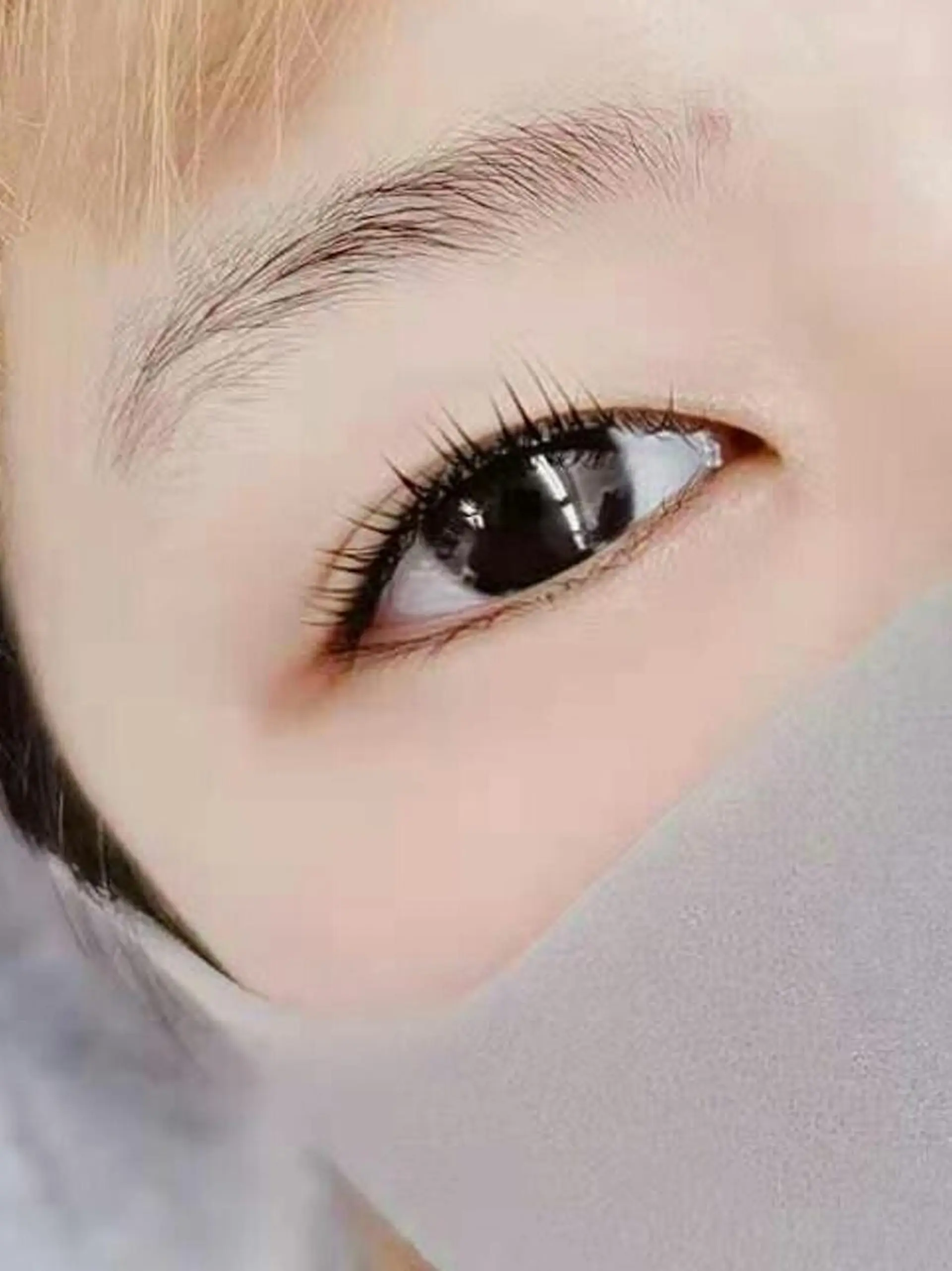 マツエク・マツパ ナチュラル まつげパーマ 胡蝶蘭レディースサロ ン眉マツパエクステの眉毛・アイブロウイメージ