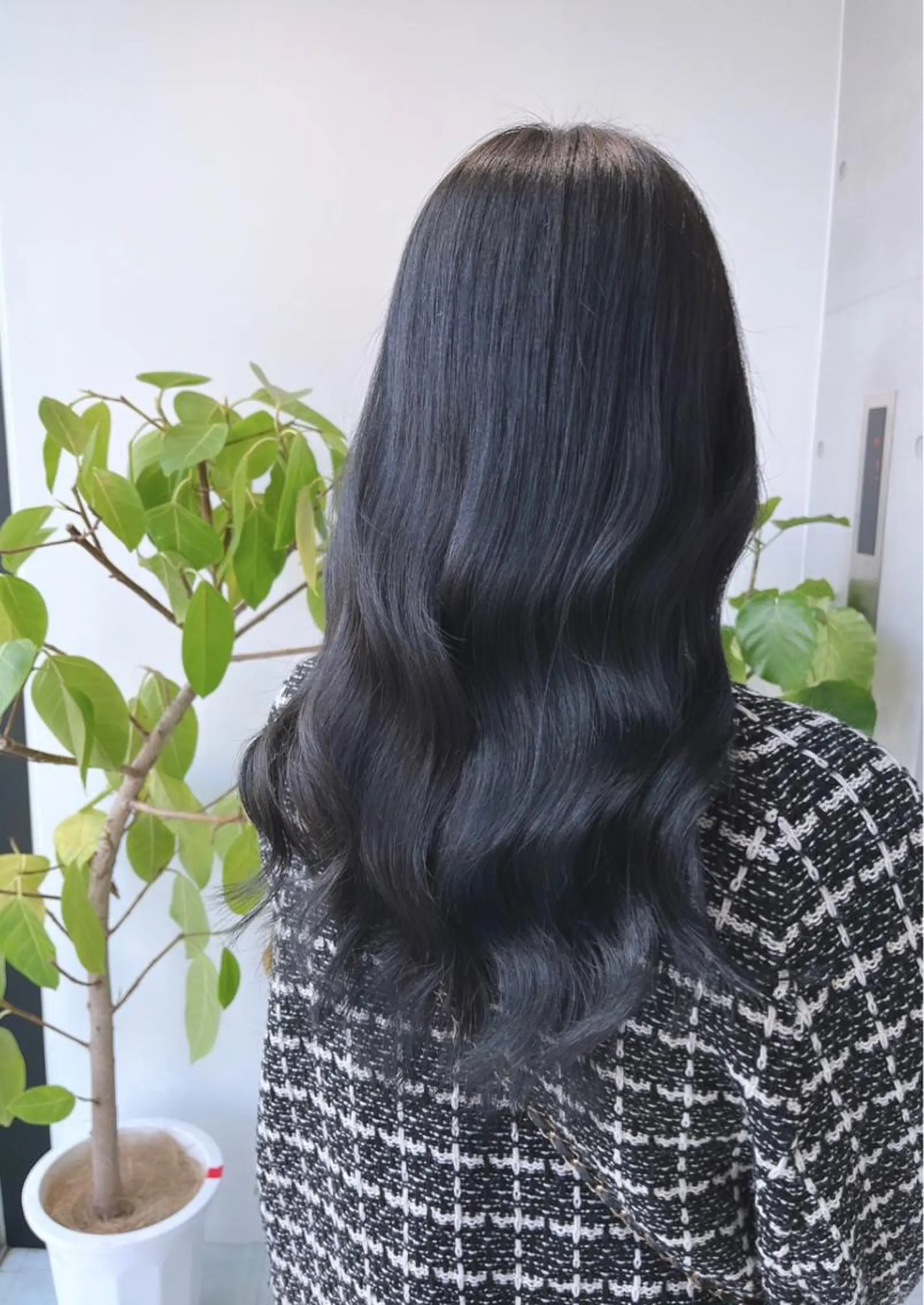 セミロング カット ヘアカラー トリートメント 🌫️大人韓国ヘア 🌫️naoyaのヘアスタイル