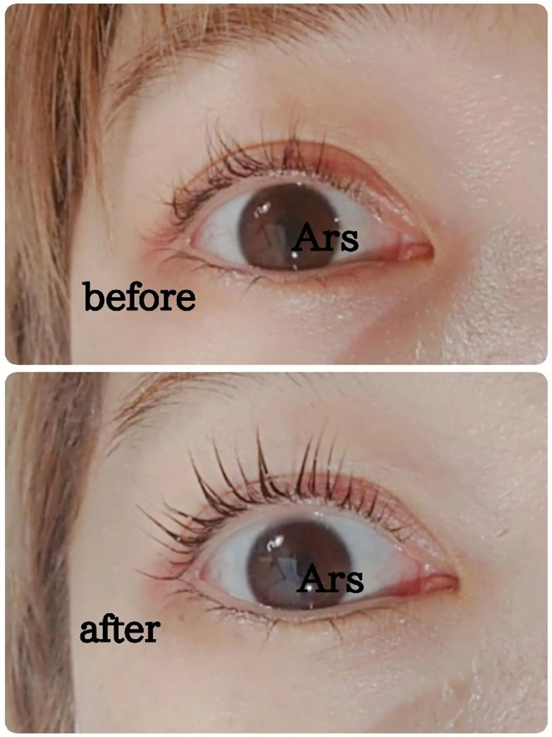 マツエク・マツパ アイリッドアップパーマ Ars      (ｱﾙｽ)のマツエク・マツパデザイン