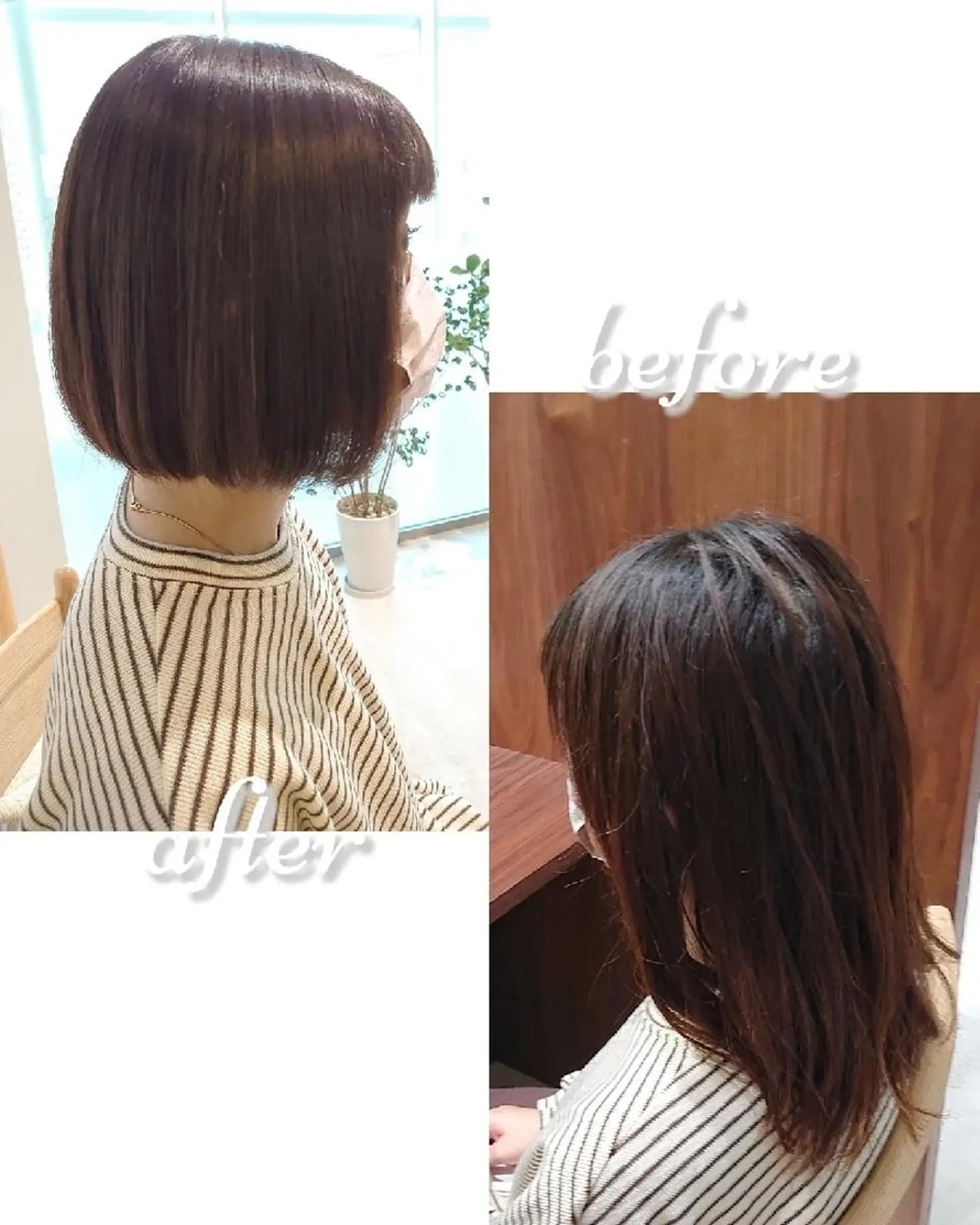 ショート カラー 🐱higajo🐱 比嘉門(ヒガジョウ)のヘアスタイル