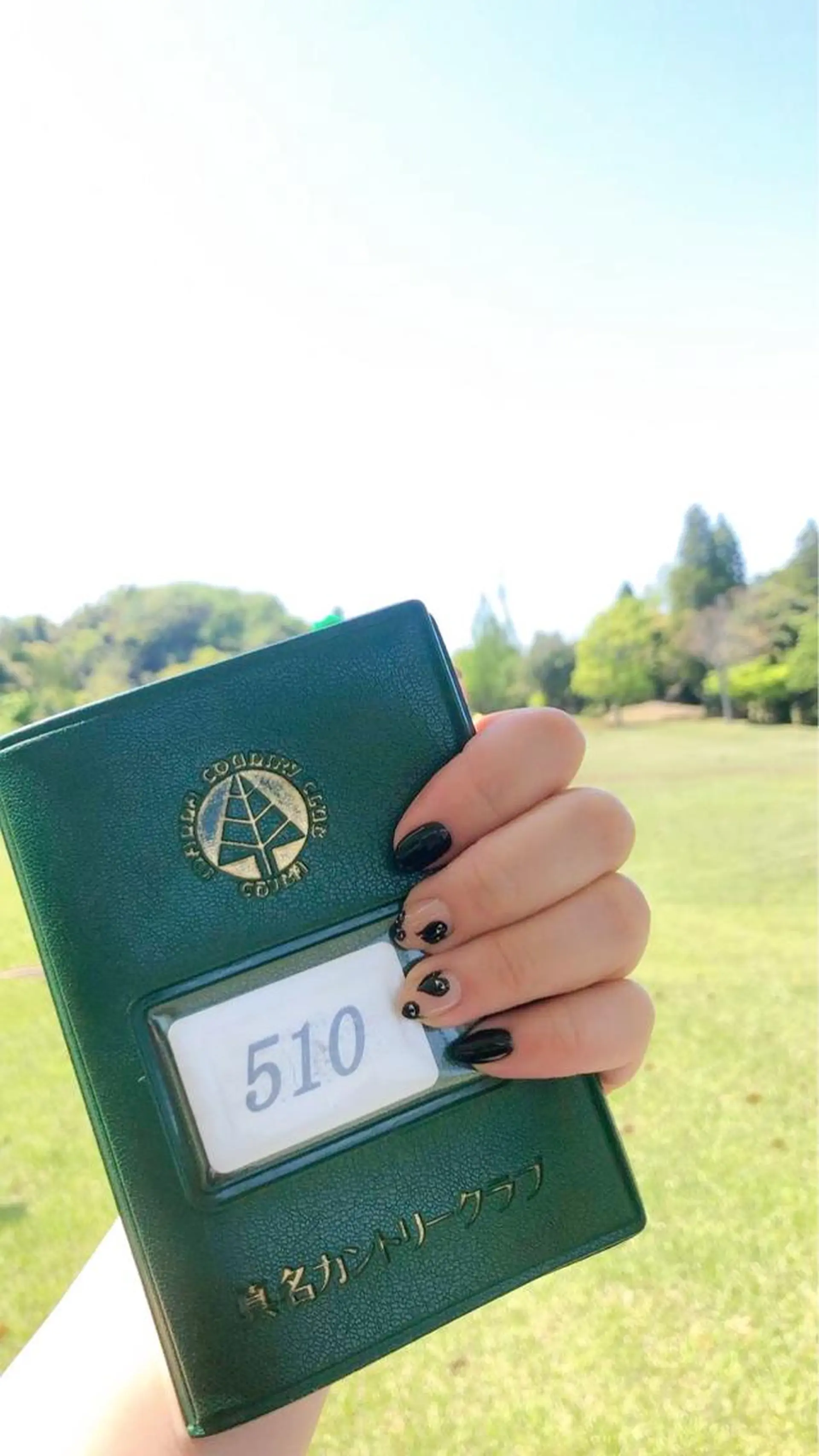 ネイル アートネイル 持ち込み emunail あやかのネイルデザイン