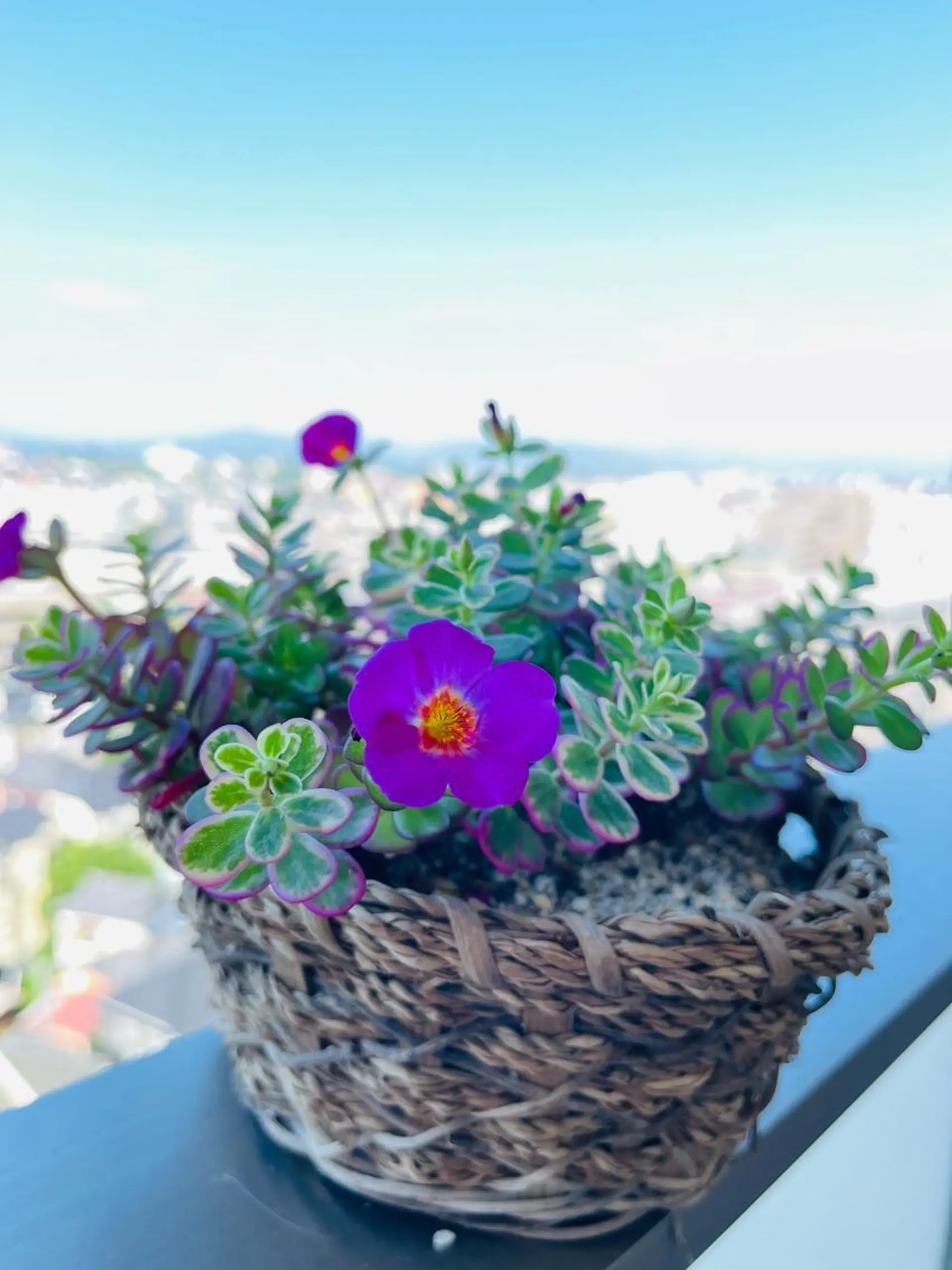 八王子 ソアラのマツエク・マツパデザイン