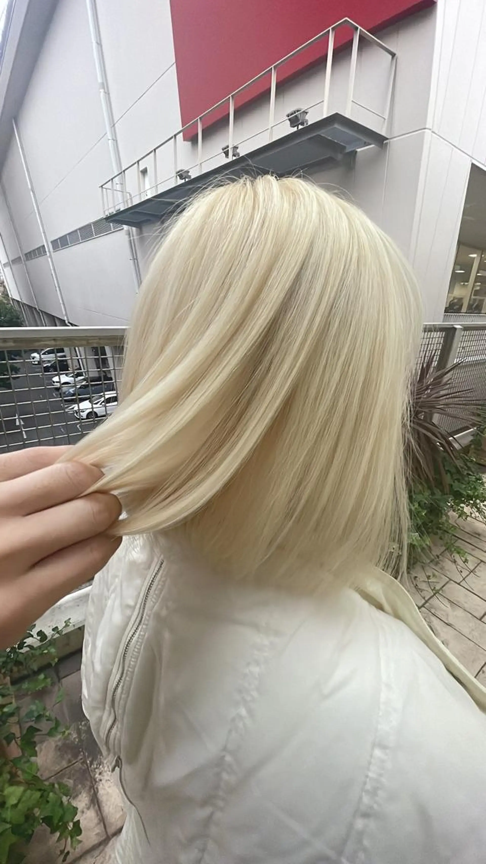 ミディアム カラー ハイトーンカラー 限定クーポン 💕大量更新ブリーチのヘアスタイル