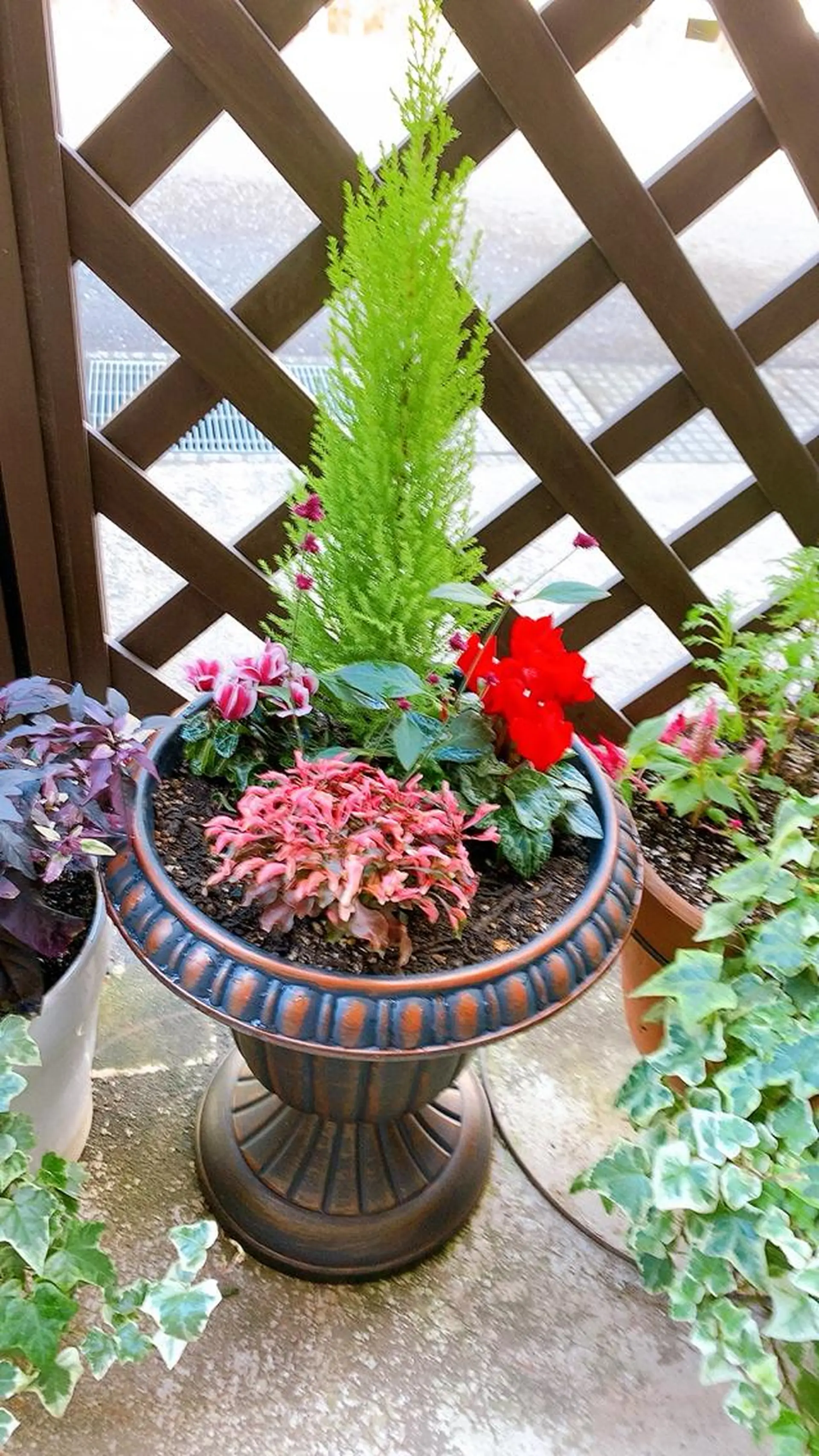 Nakamura Atsukoの眉毛・アイブロウイメージ