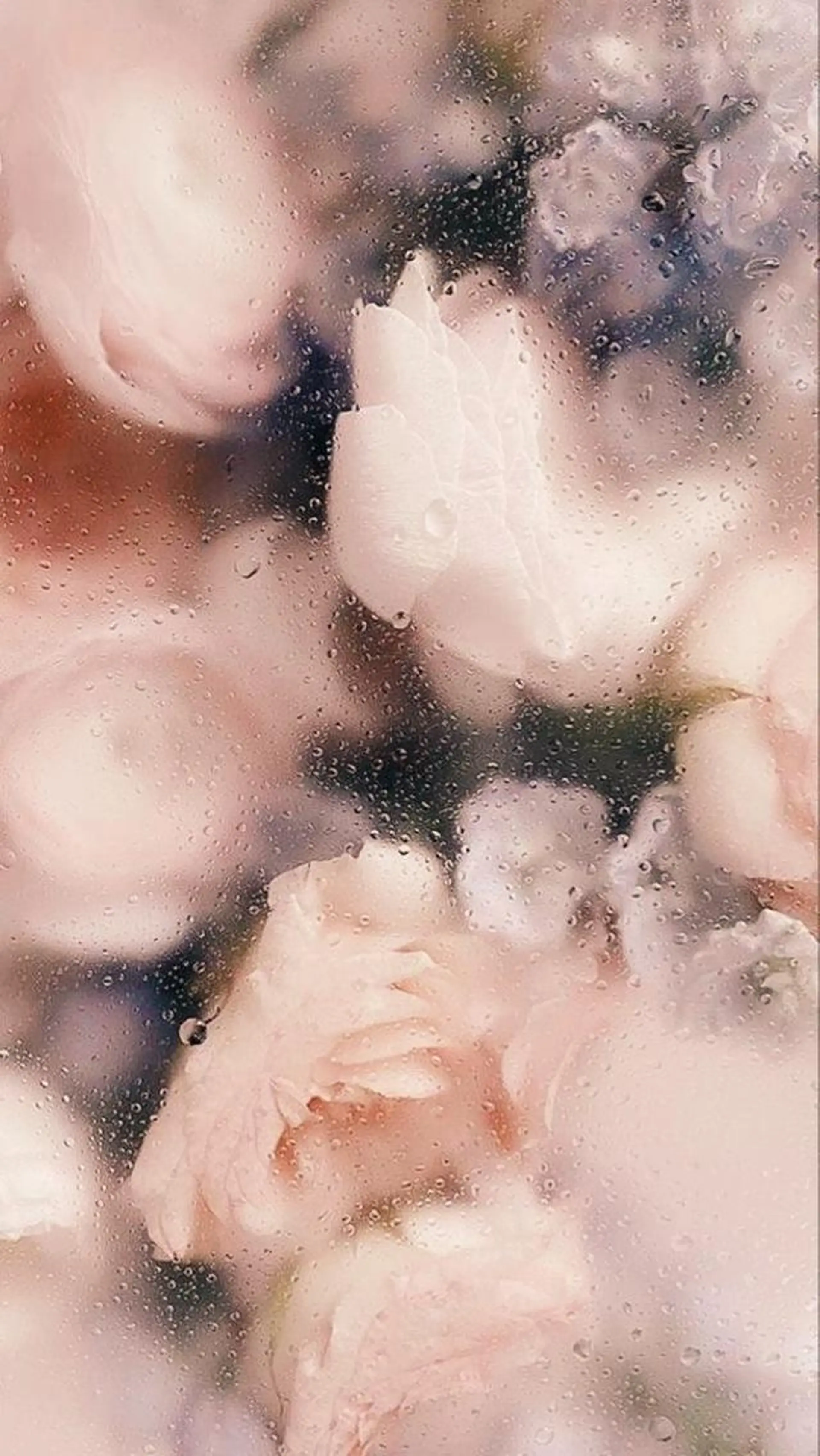 Iwasaki Nene☾店長のマツエク・マツパデザイン