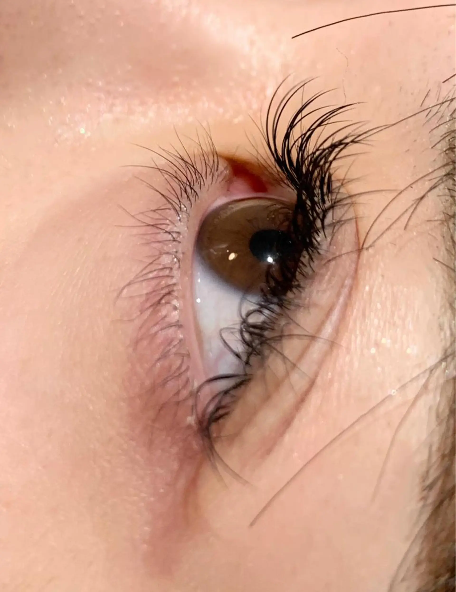 マツエク・マツパ VERY 天王寺店 圓句のマツエク・マツパデザイン