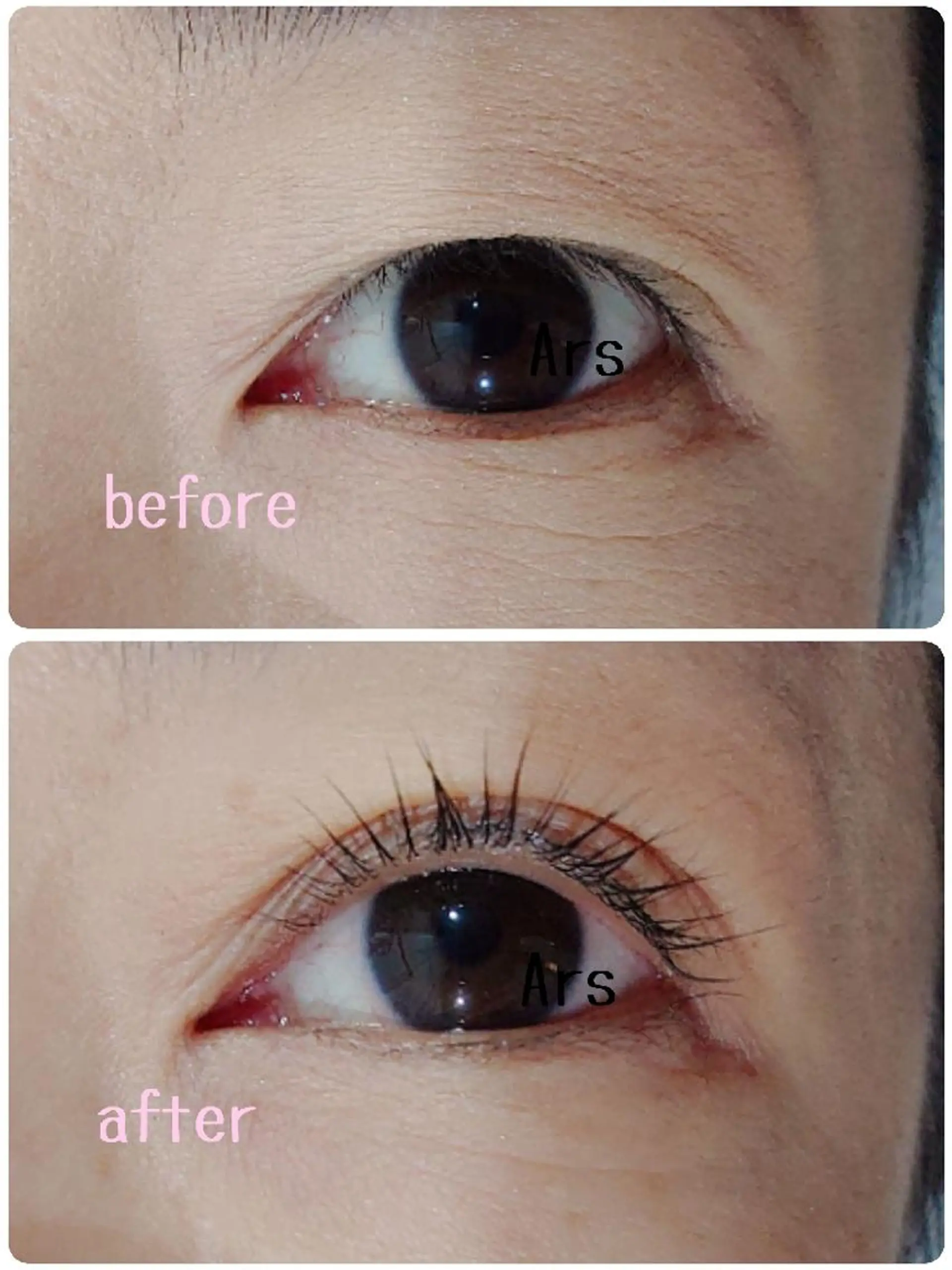 マツエク・マツパ アイリッドアップパーマ Ars      (ｱﾙｽ)のマツエク・マツパデザイン