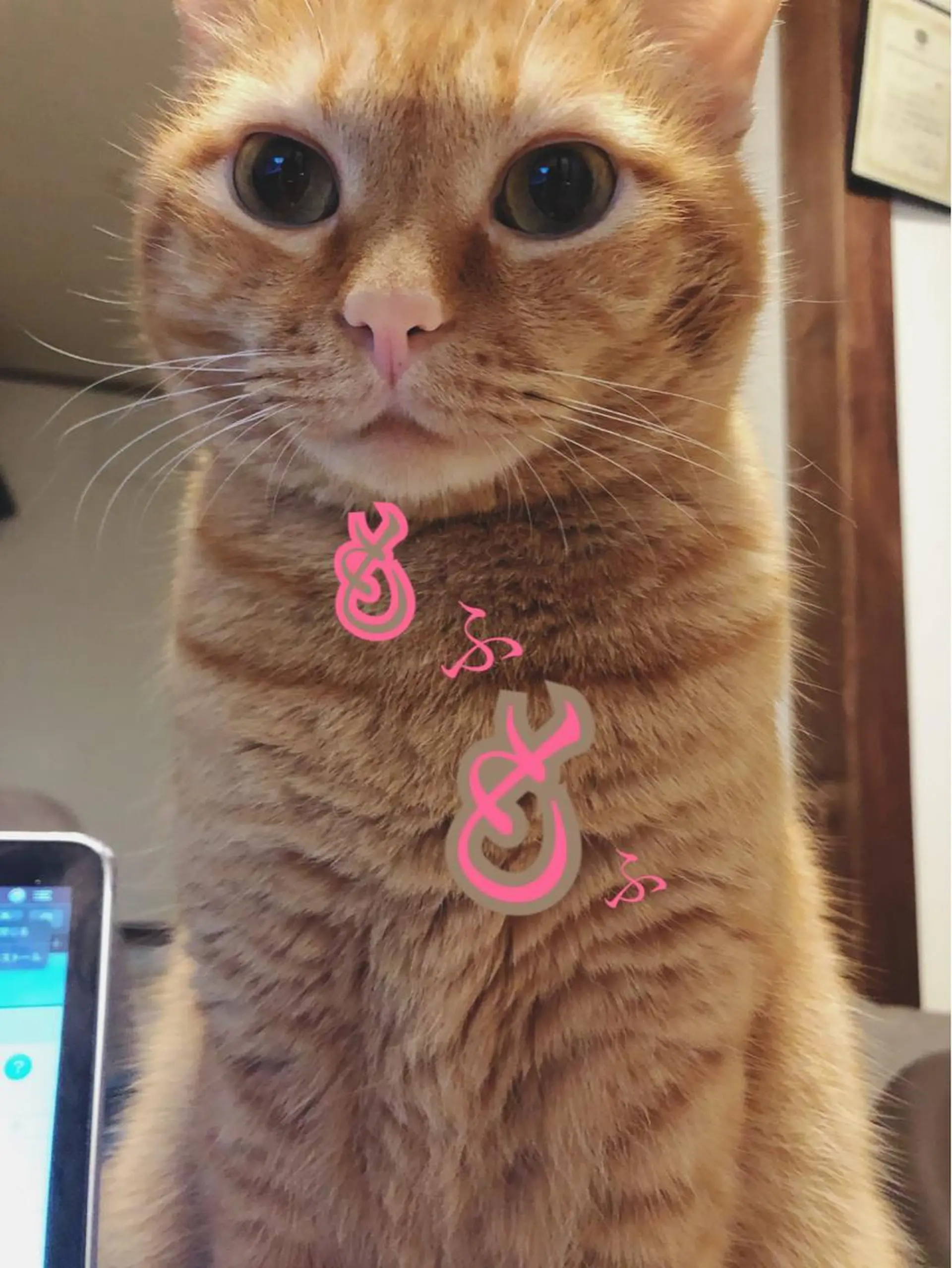 kiki nail &brow二子玉川の眉毛・アイブロウイメージ