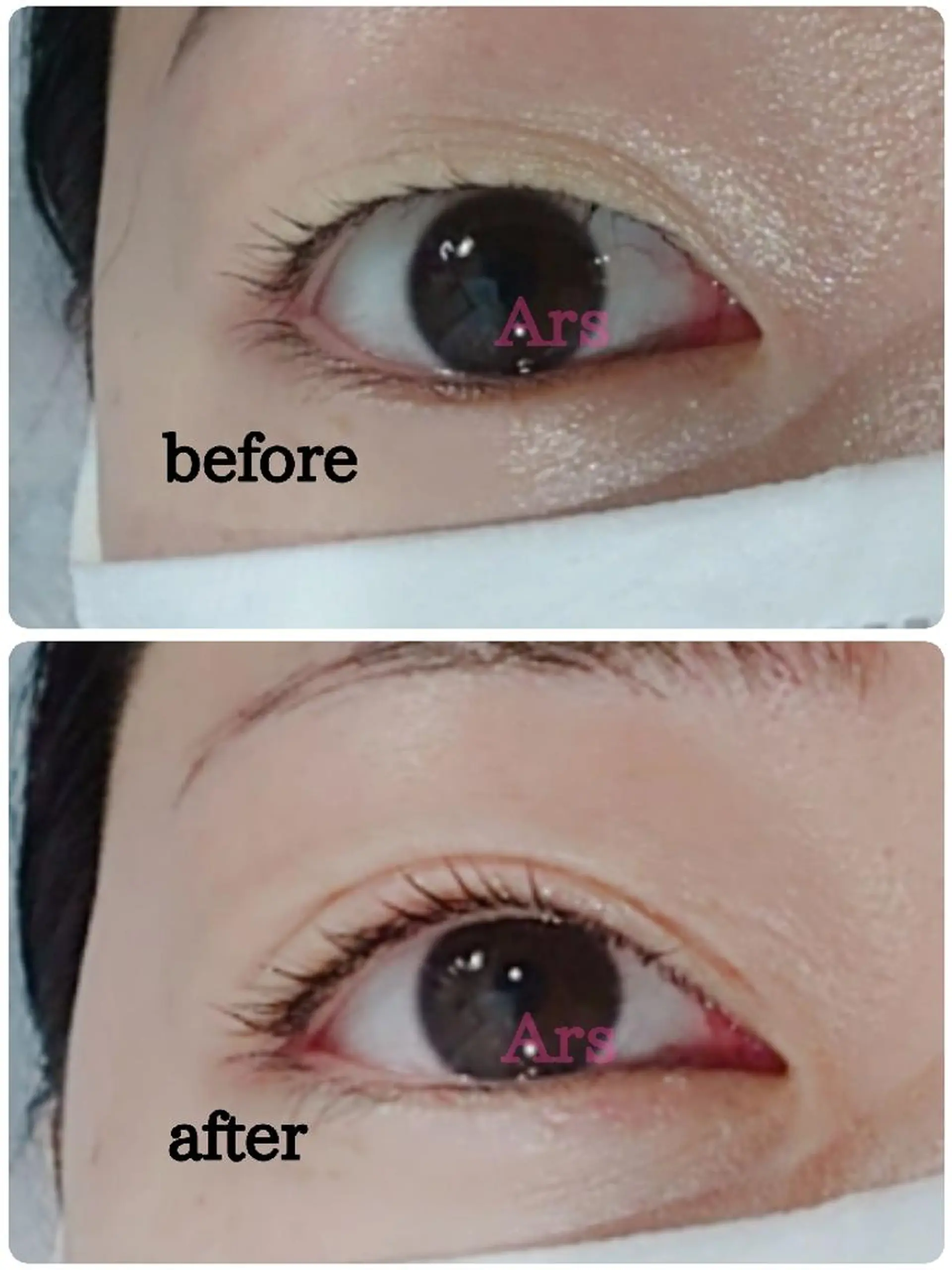 マツエク・マツパ アイリッドアップパーマ Ars      (ｱﾙｽ)のマツエク・マツパデザイン