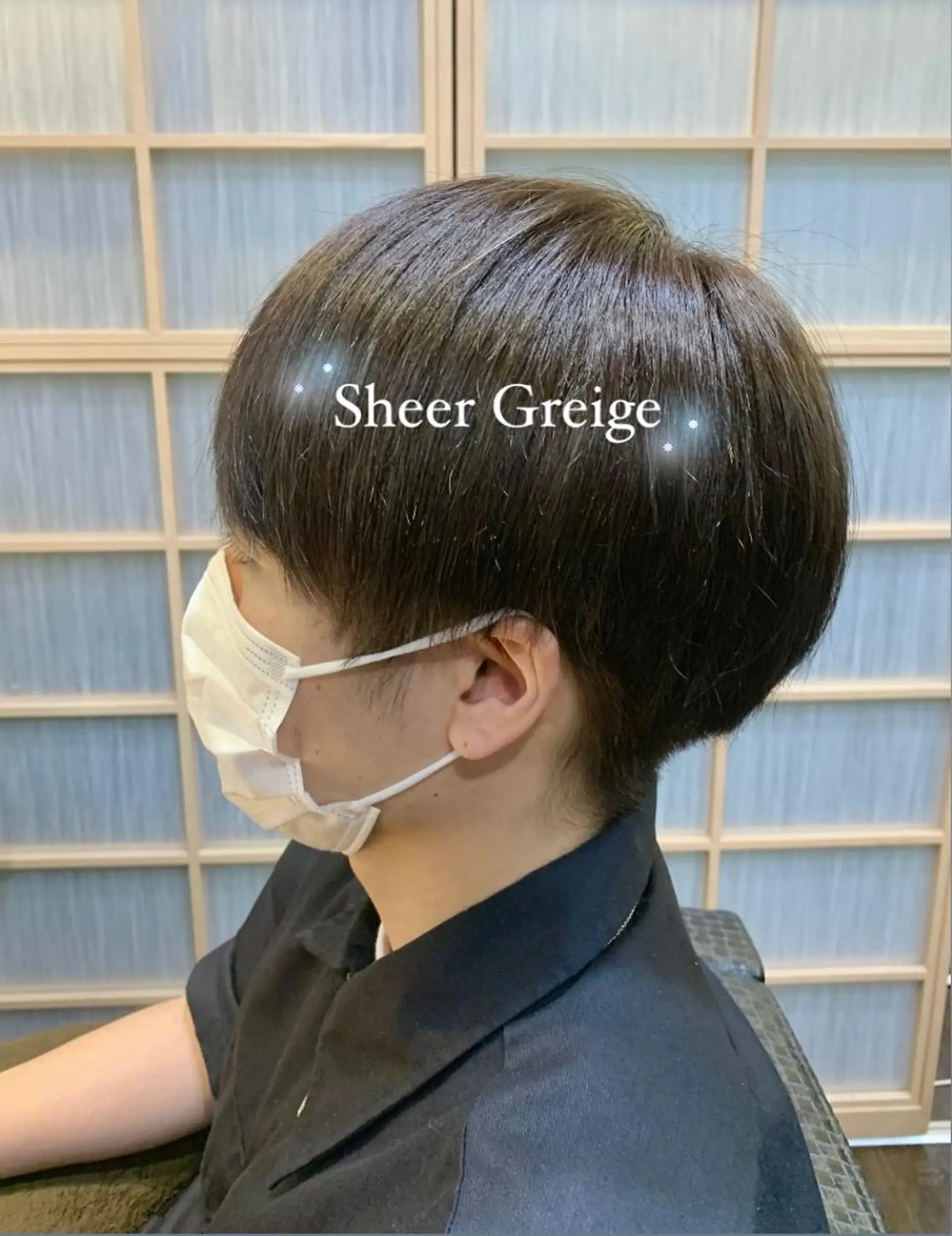 カラー グレージュ シアーグレージュ ⭐️似合わせアップ ⭐️並木奏絵のヘアスタイル