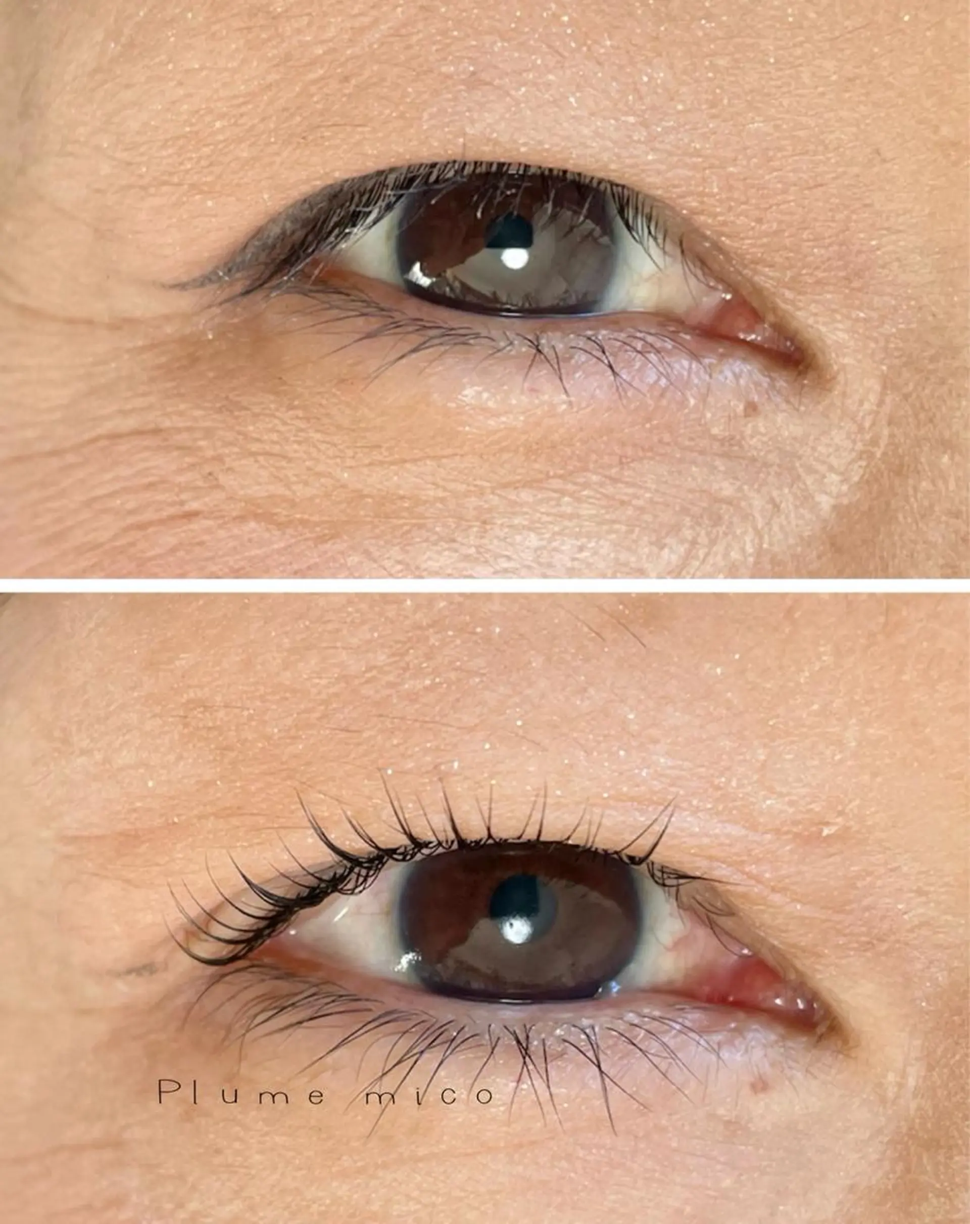 マツエク・マツパ マツパ Plume micoのマツエク・マツパデザイン