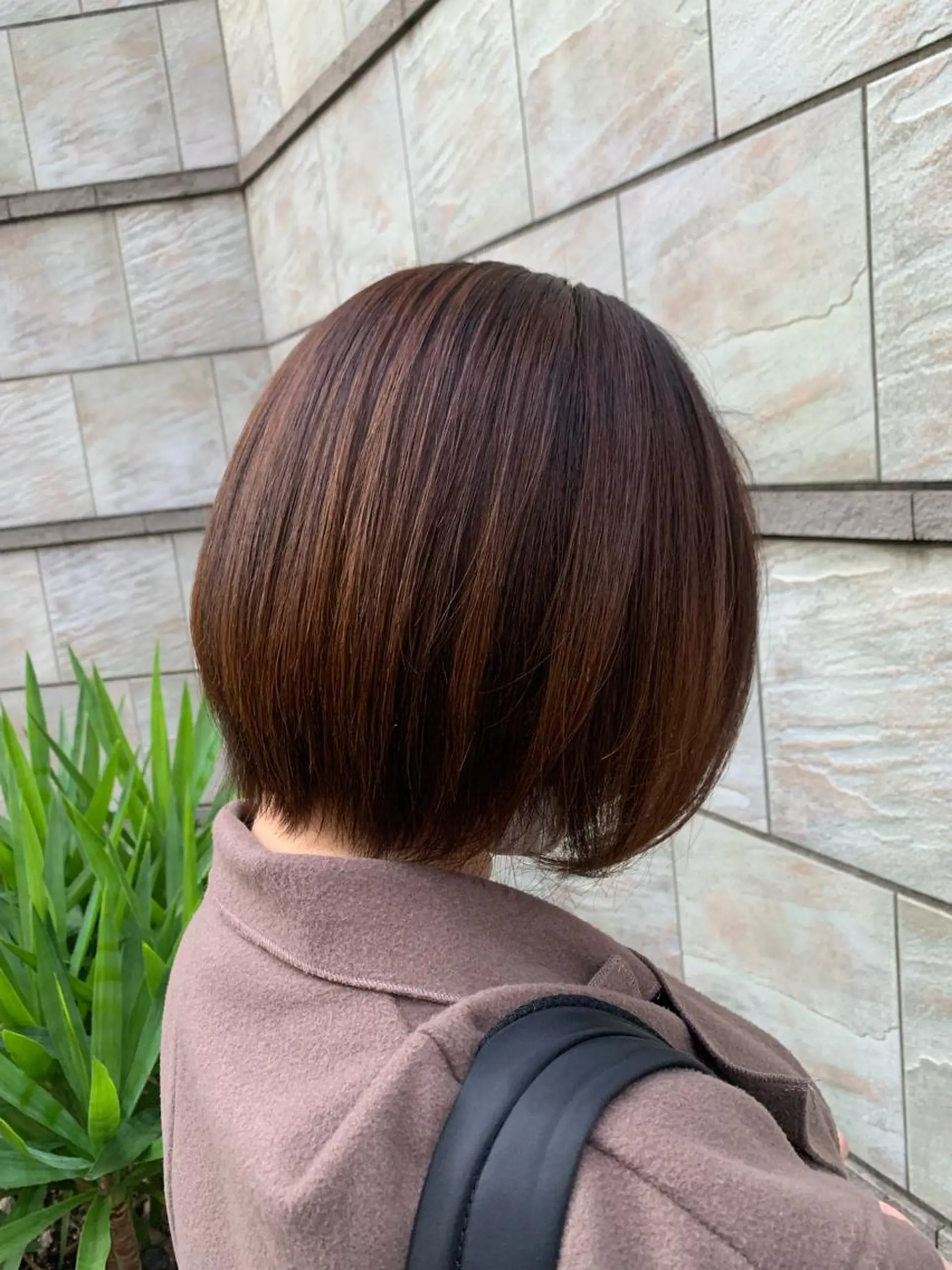 ショート 渡邊 星来のヘアスタイル